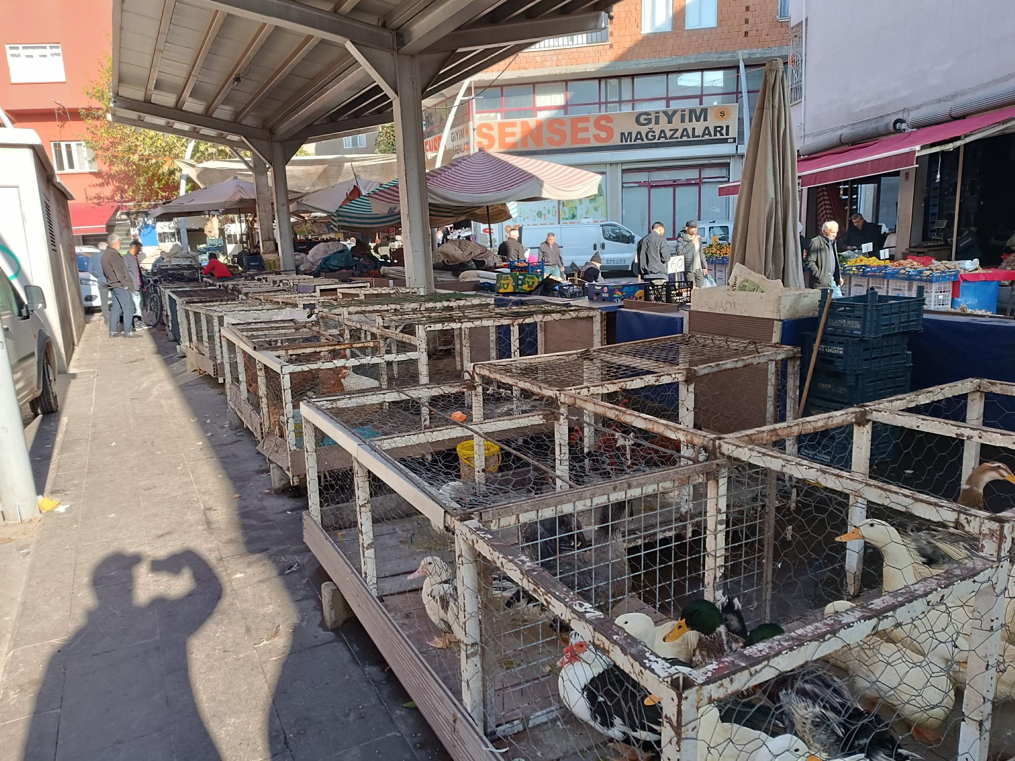 “Fiyatlar düştü ama satış yok”