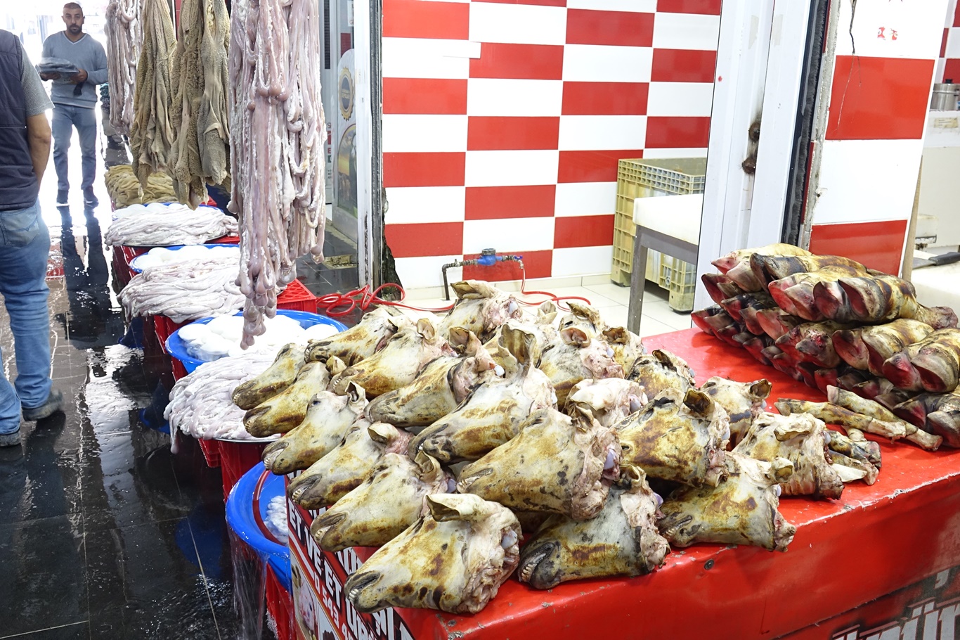 Hem ısıtıyor hem şifa dağıtıyor