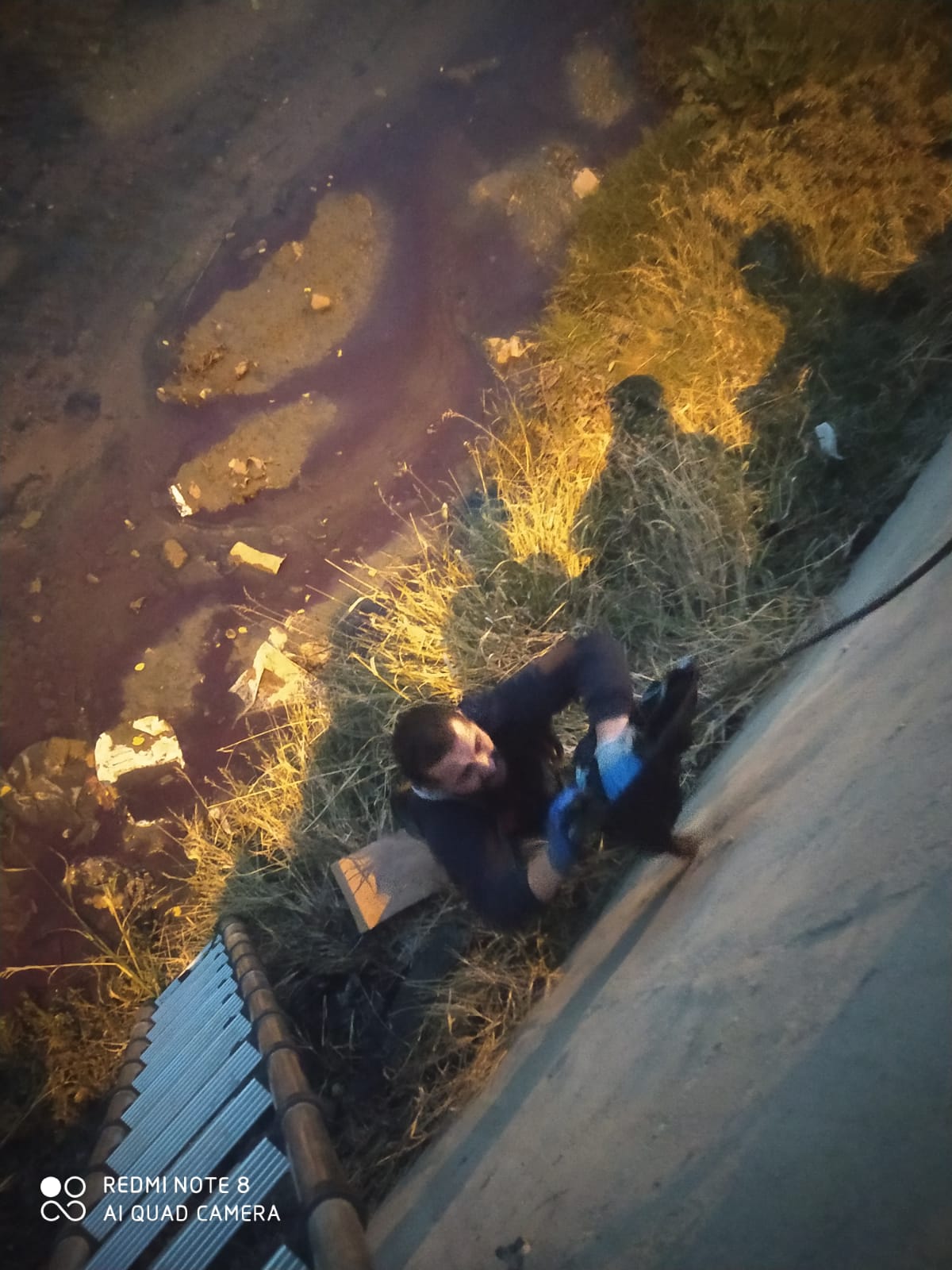 İluh deresine düşen kedi kurtarıldı