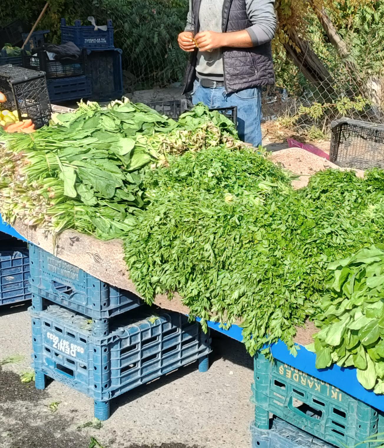 Pazarda yeşillik kampanyası