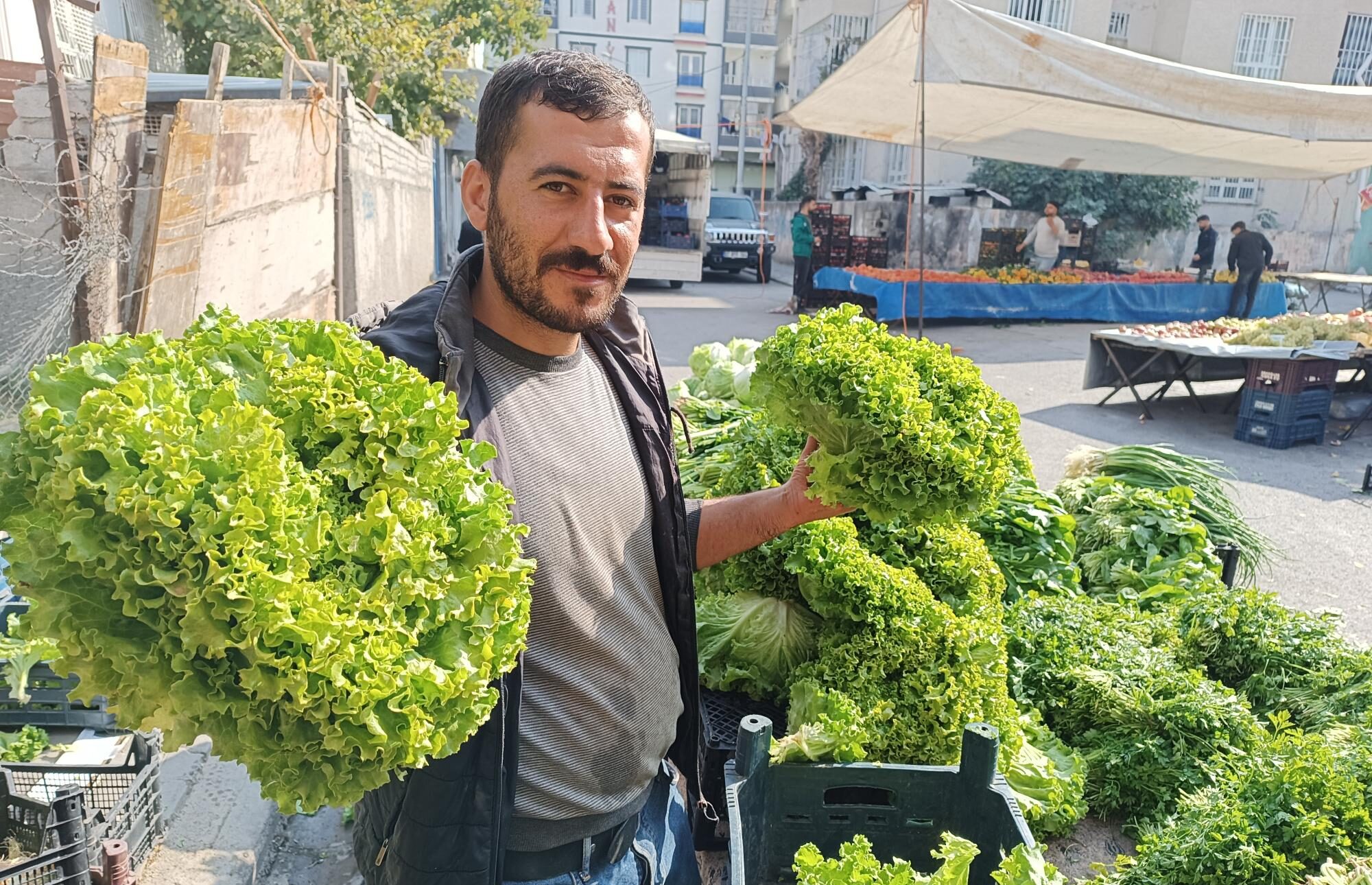 Semt pazarlarında yeşillik bolluğu