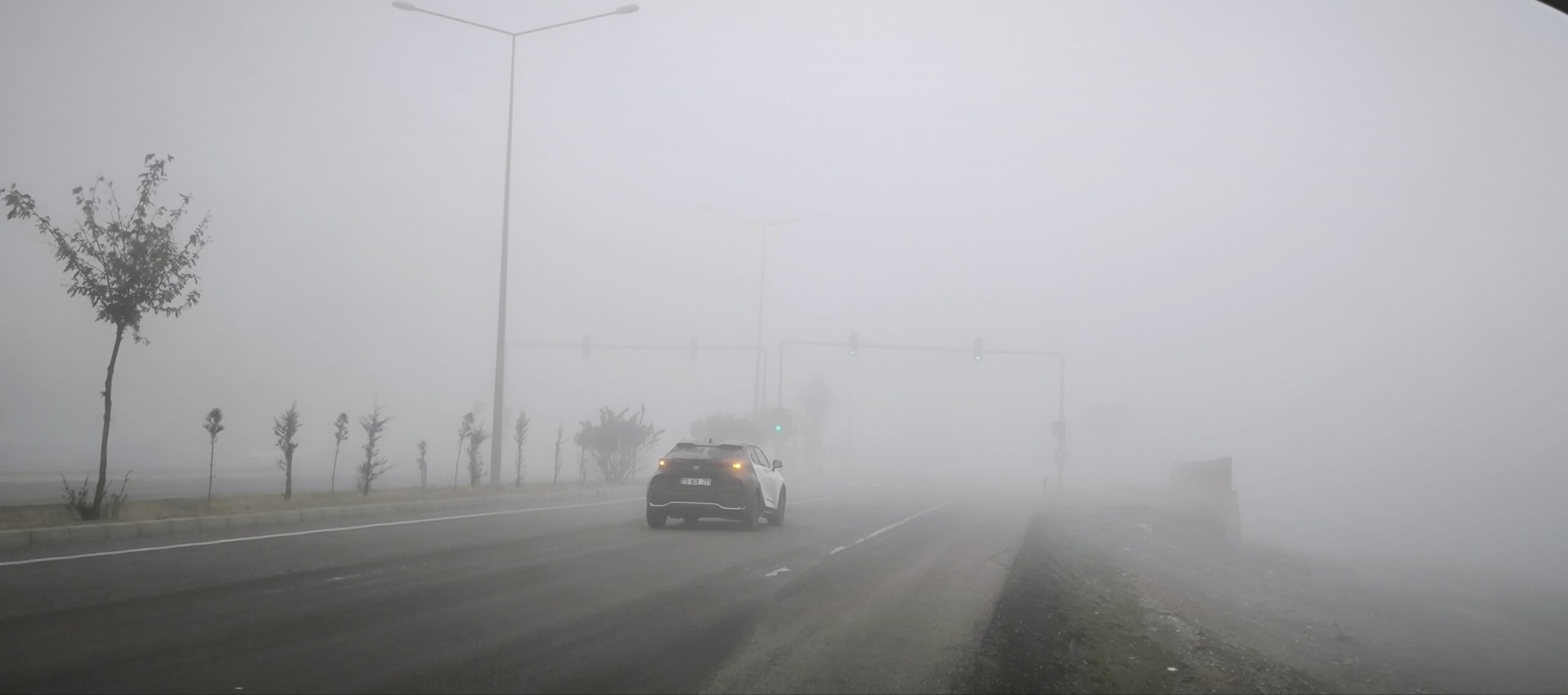 Sis Batman’ı yuttu!