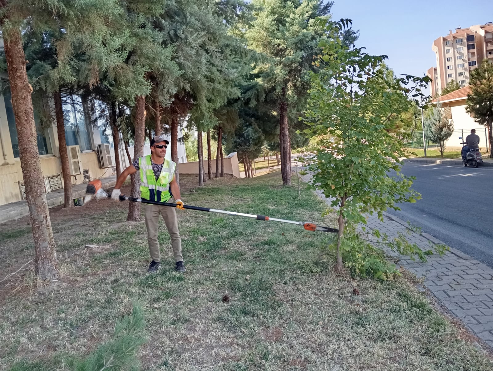 Sonbahar budaması başladı