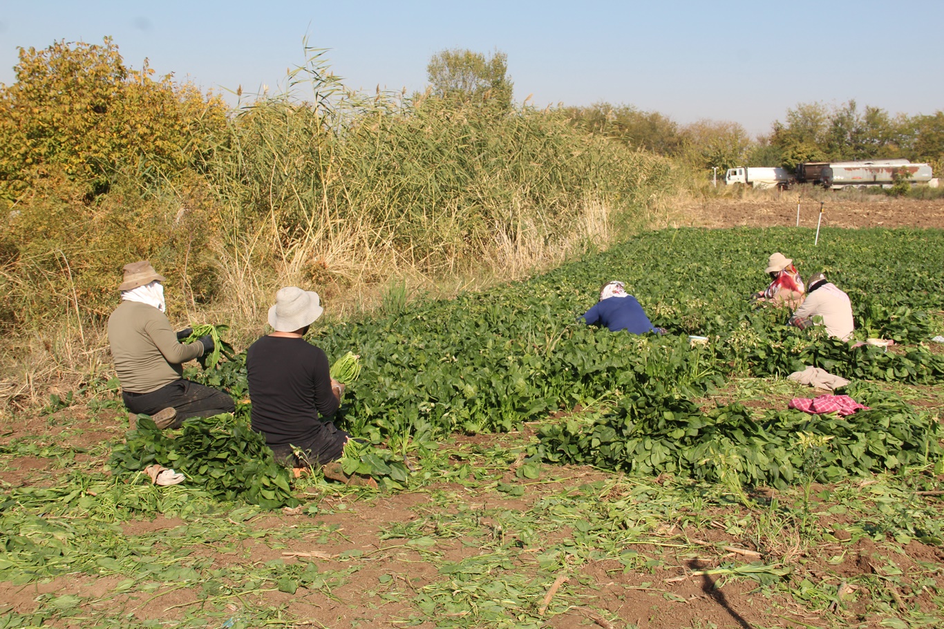 “Ürettiğimizin karşılığını alamıyoruz”
