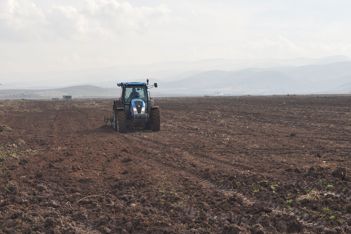 Yağışlar çiftçinin yüzünü güldürdü