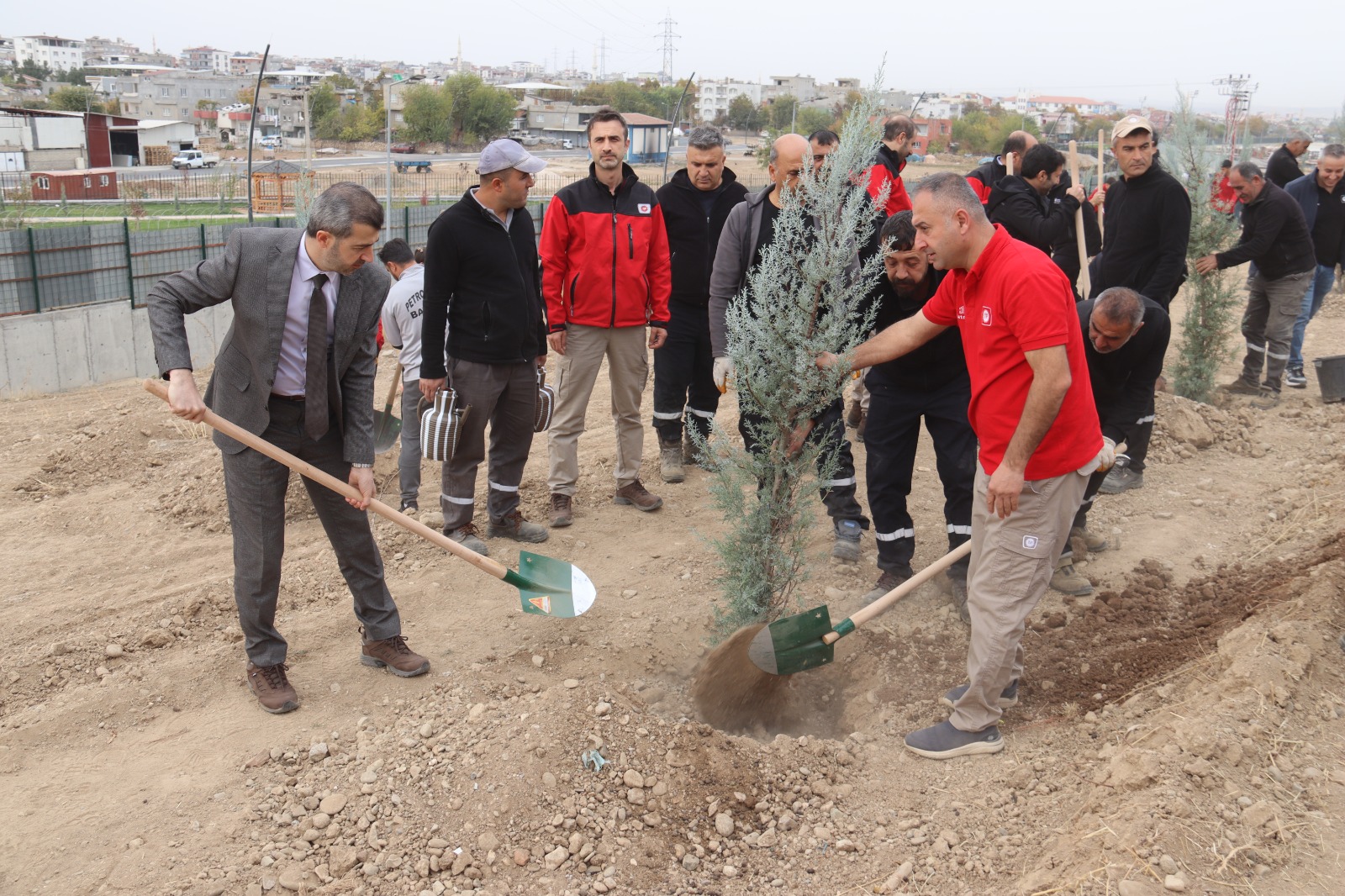 ‘Yeşil Vatan’a 500 fidanlık destek
