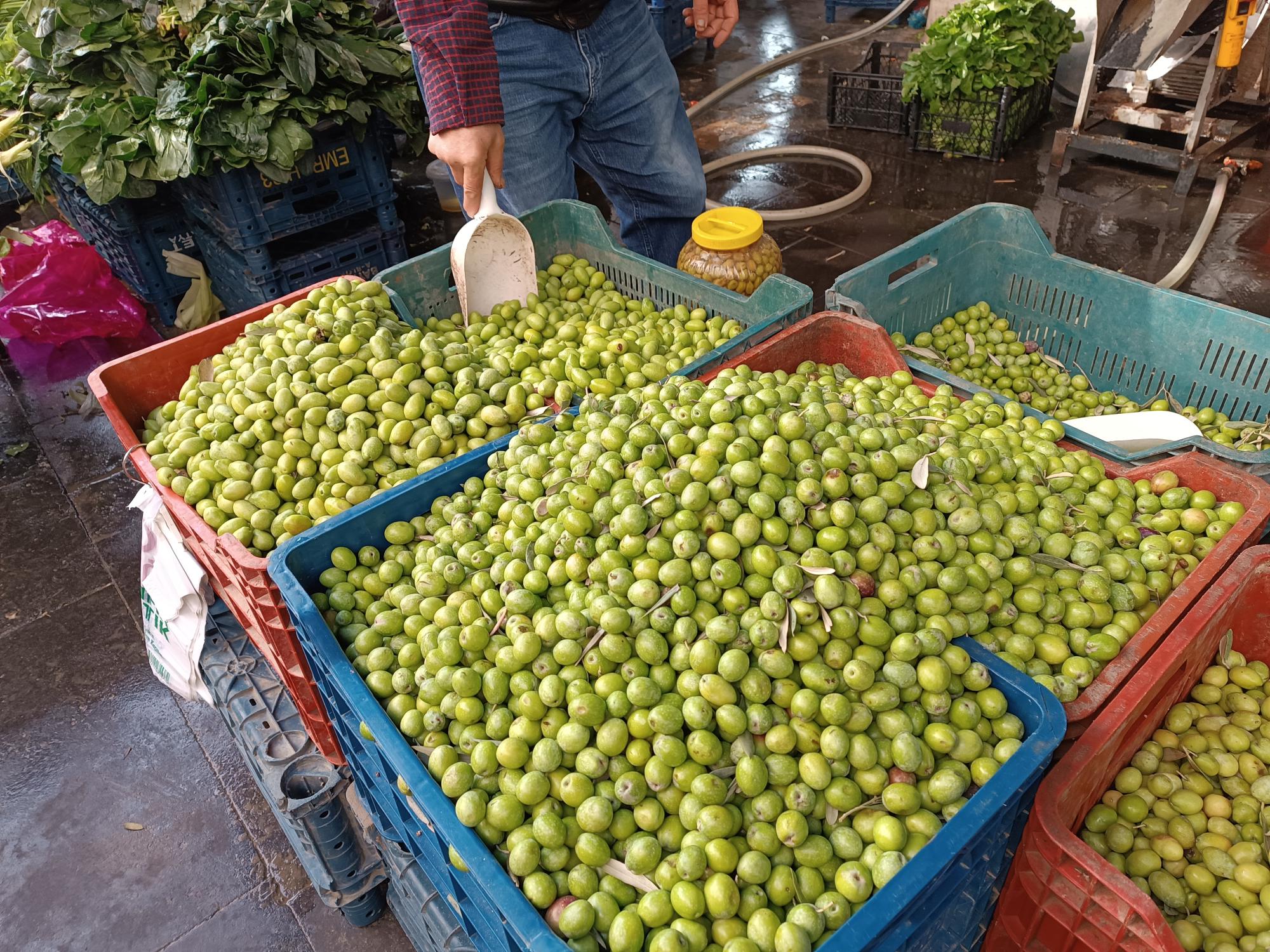 Yeşil zeytine yoğun ilgi