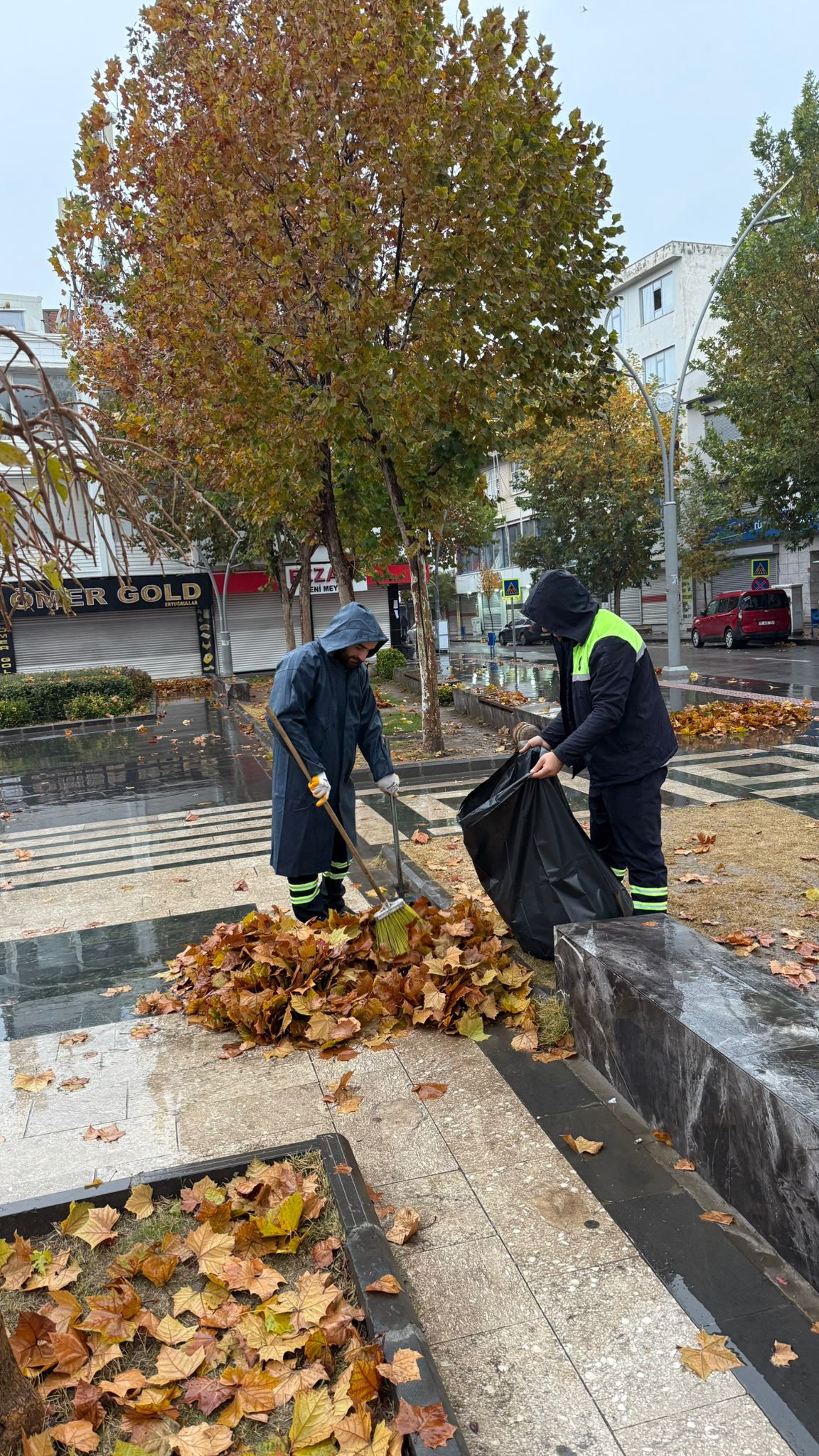 30 Ton yaprak toplandı