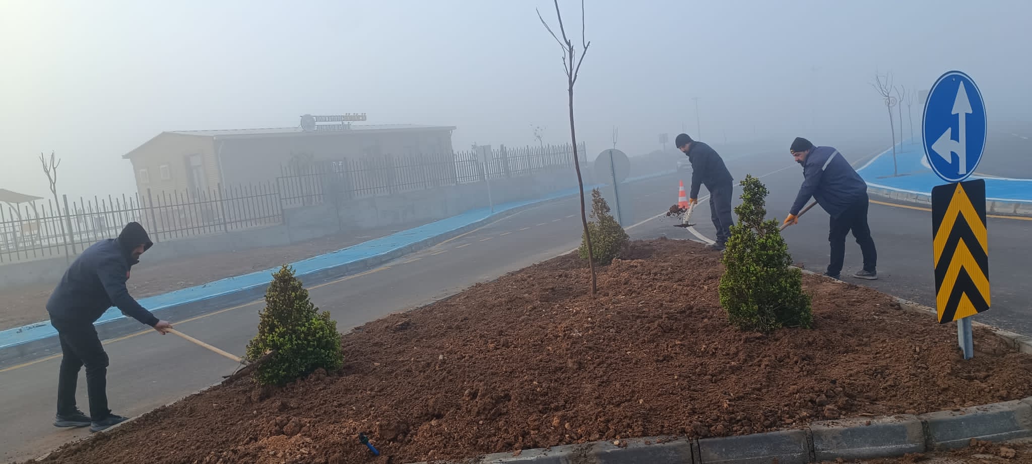 50 Dönümlük alan yeşile bürünüyor