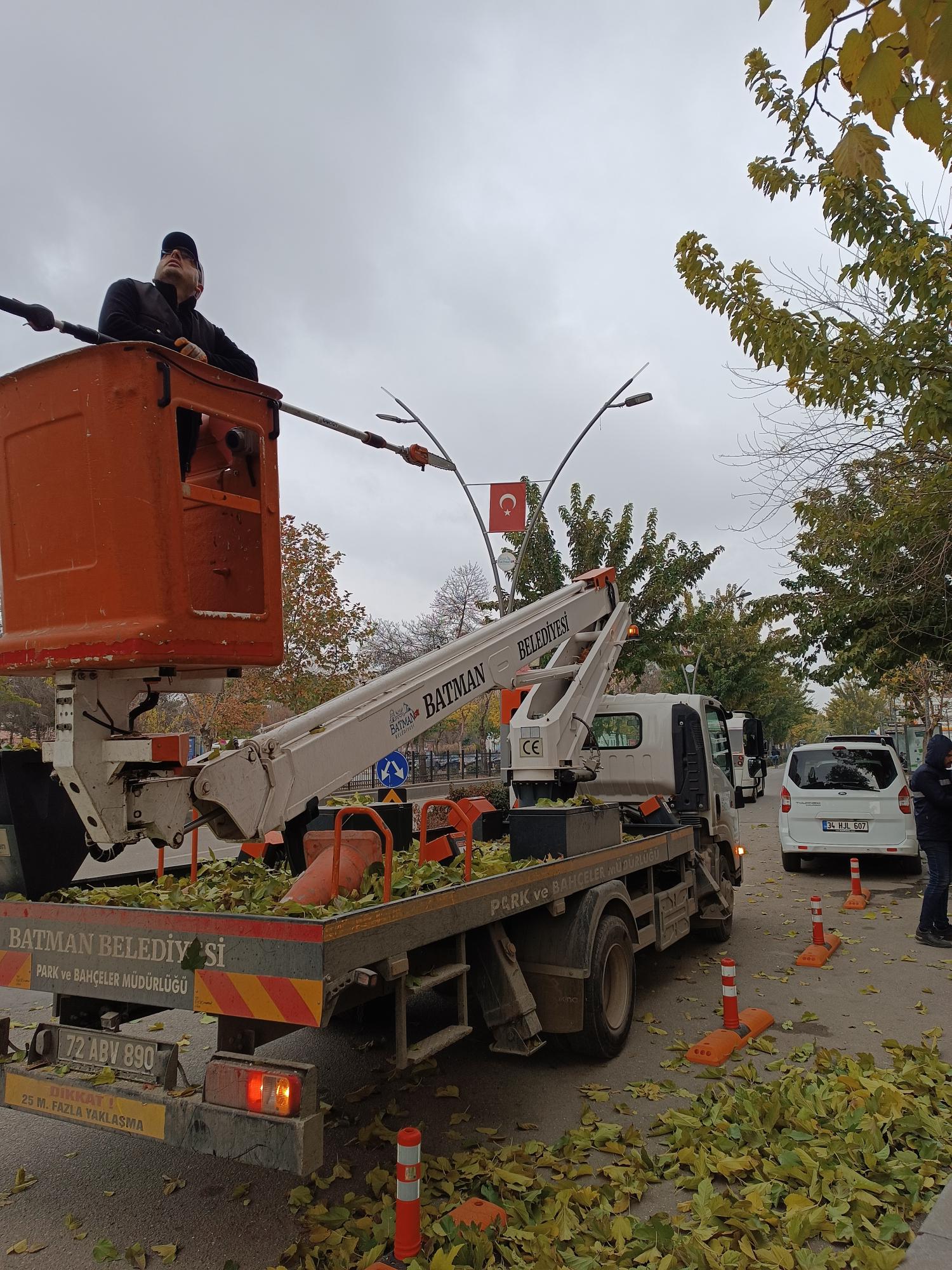Ağaçlar budandı, görüş açısı rahatladı