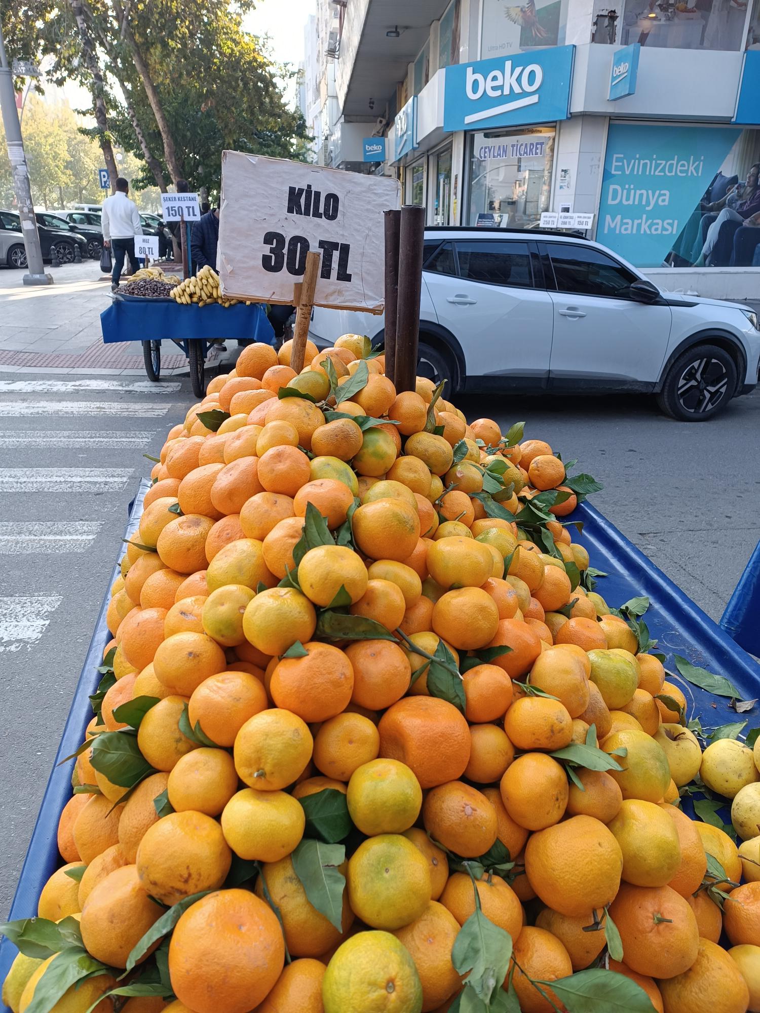 Antalya mandalinası 30 lira