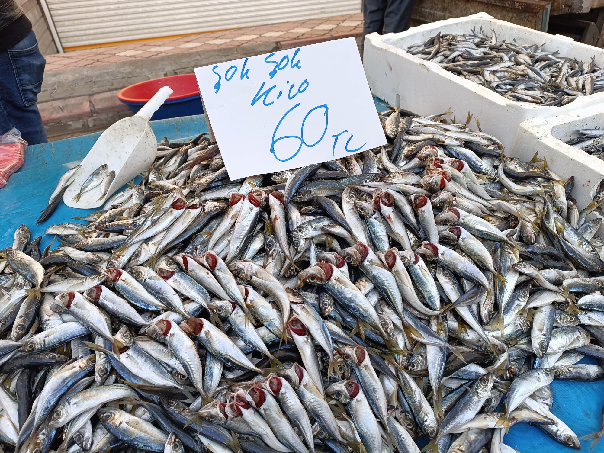 Balığa talep artıyor