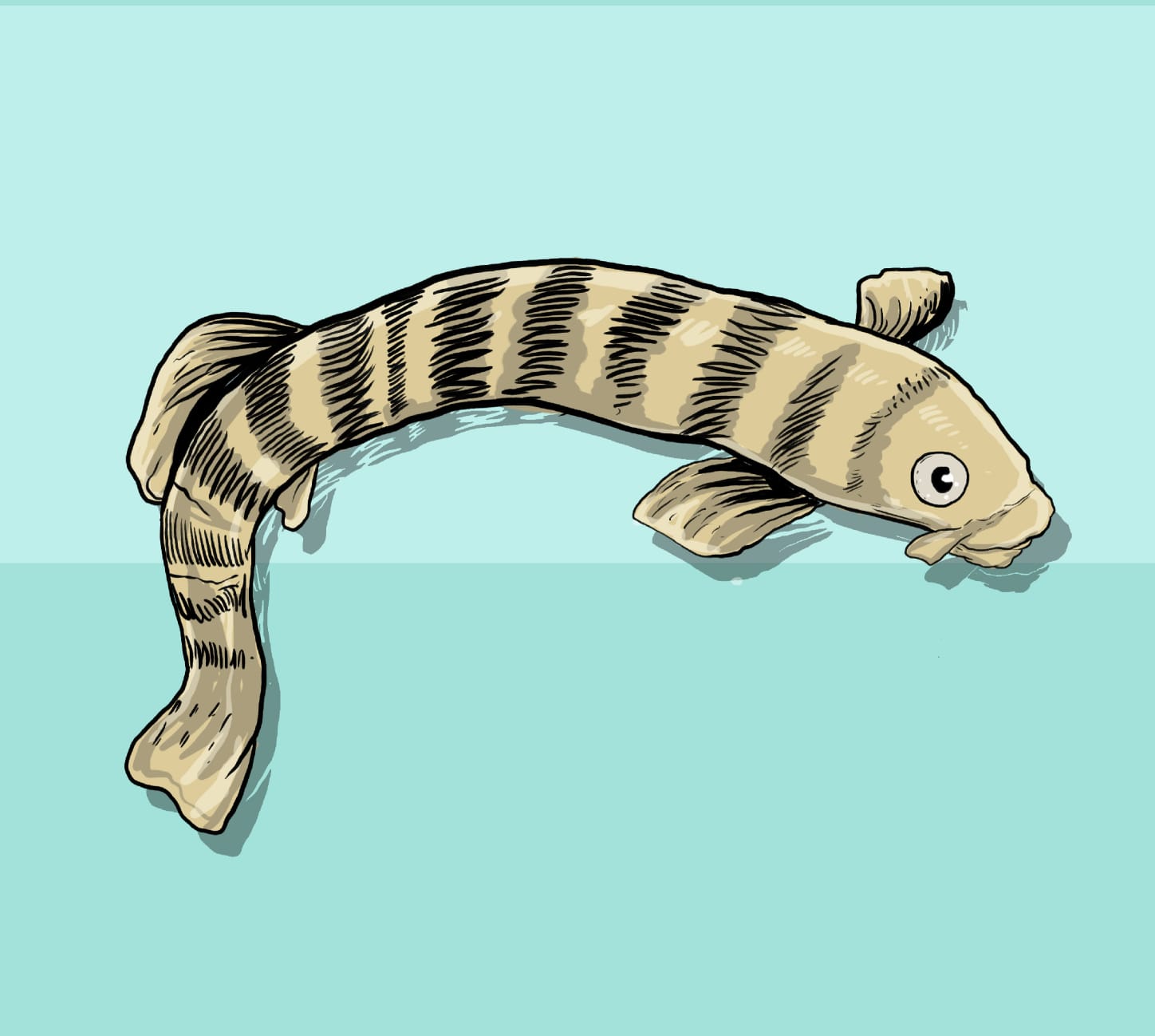 ‘Bantlı Çöpçü Balığı’ yeniden gündemde