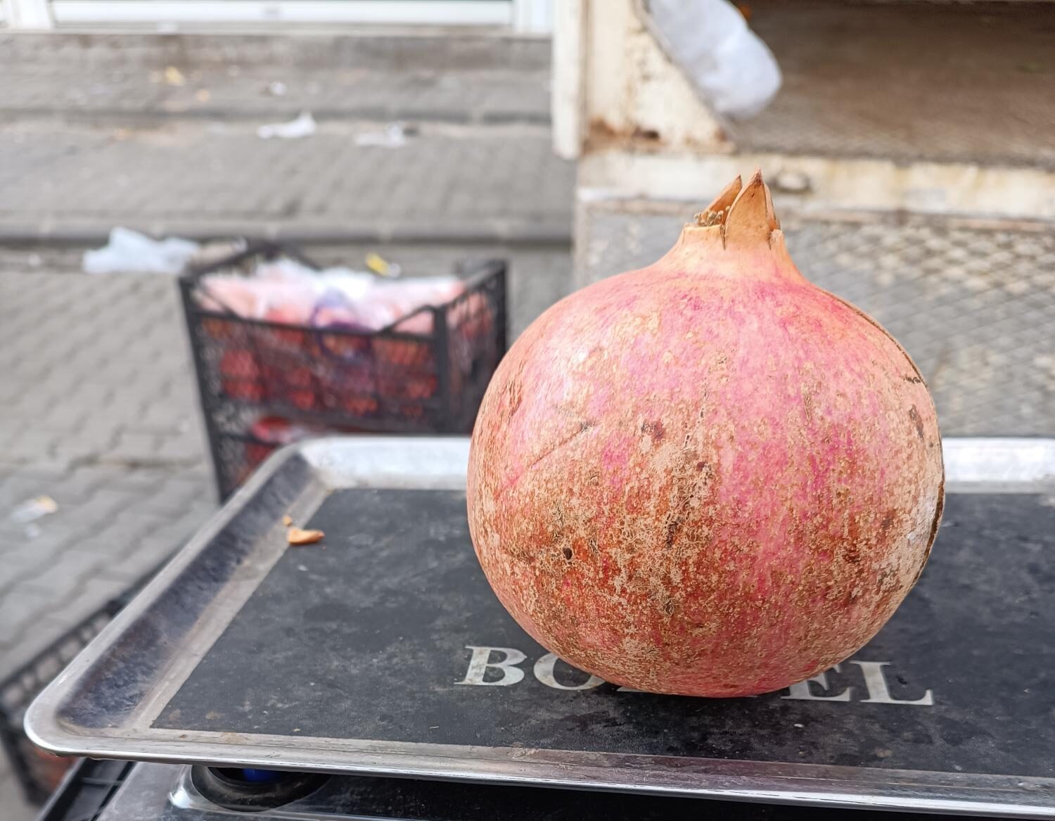 Dev nar fiyatıyla şaşırttı!