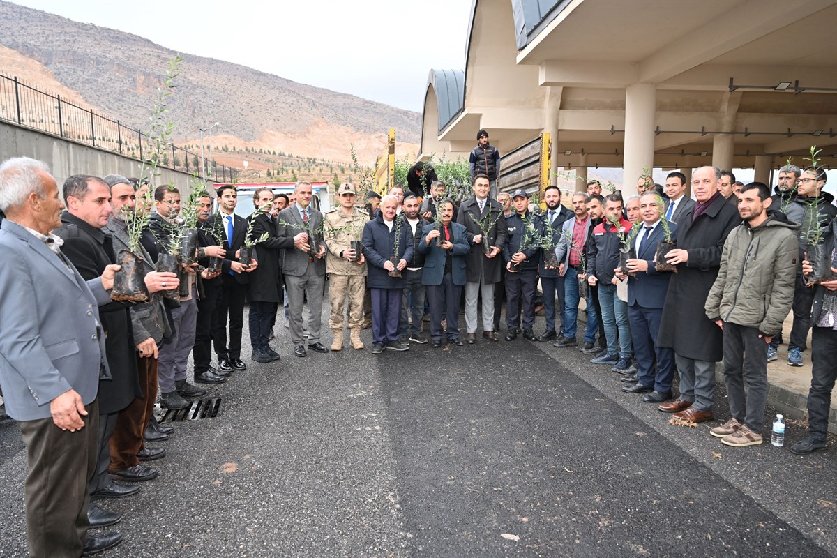 Hasankeyf’te zeytin devrimi