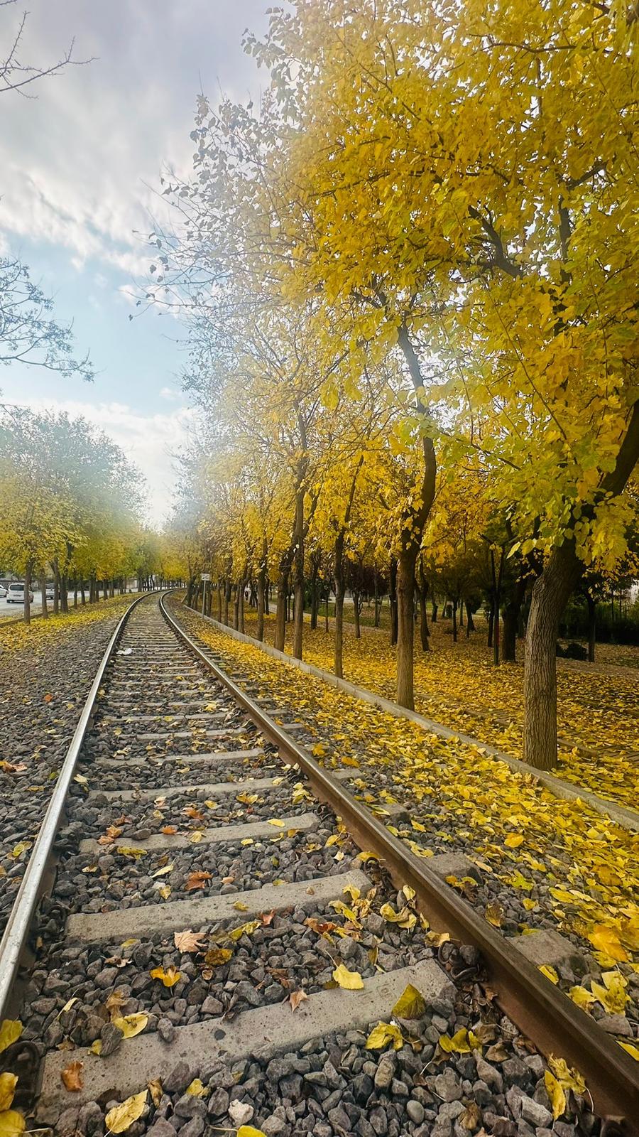 Kartpostallık manzaralar