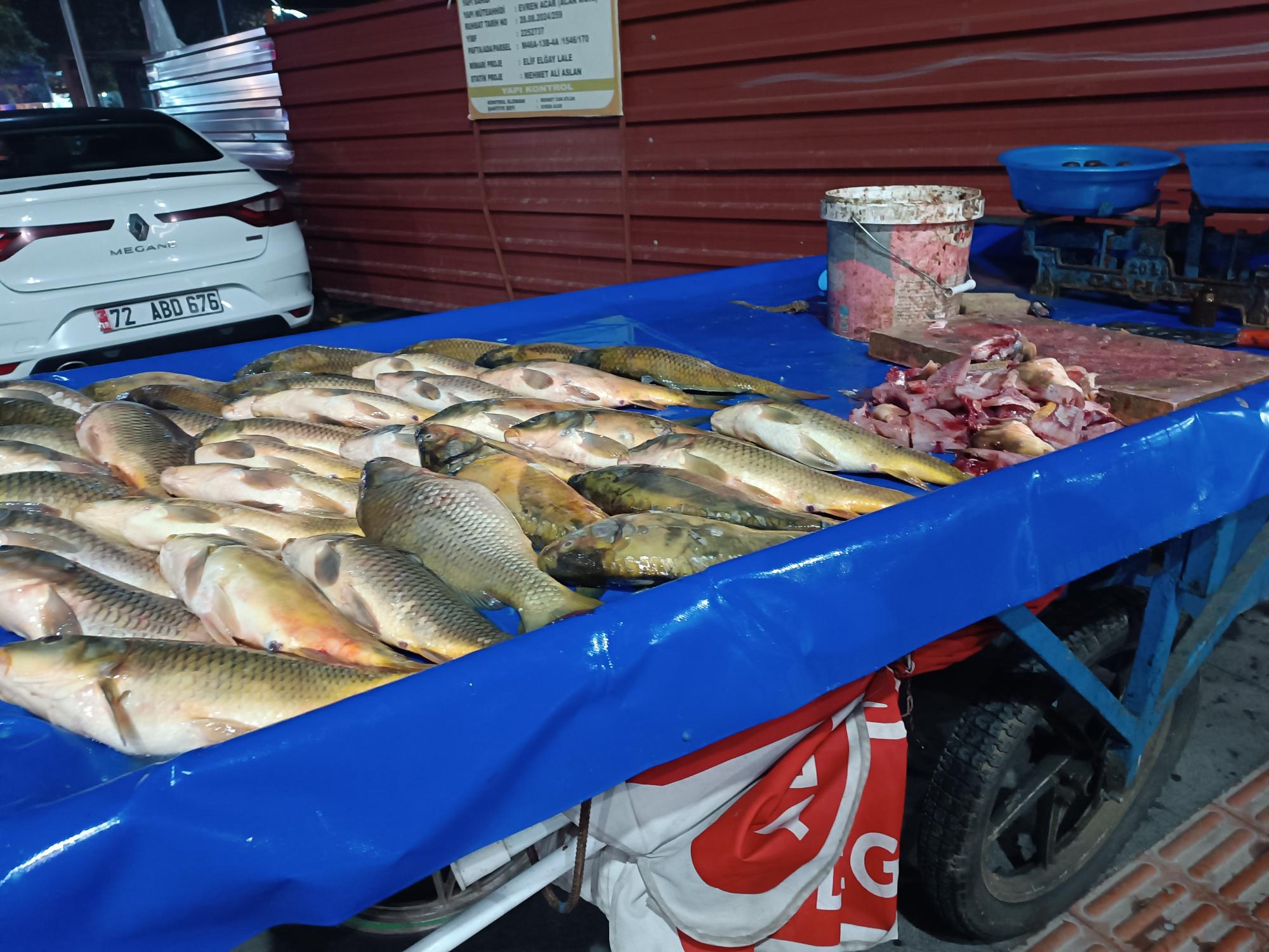 Lezzetli balıklar tezgahlarda