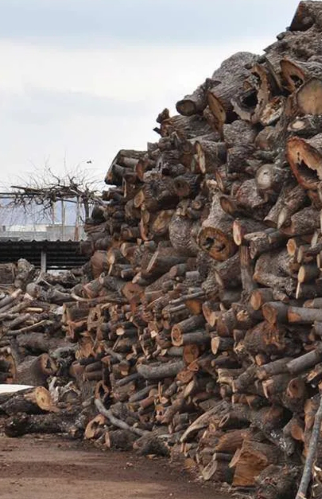 Odunun tonu 8 bin liraya dayandı