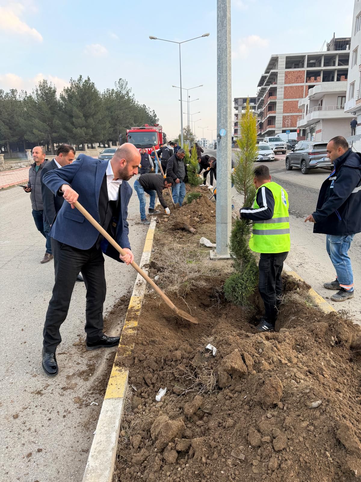 Orta refüjler ağaçlandırılıyor