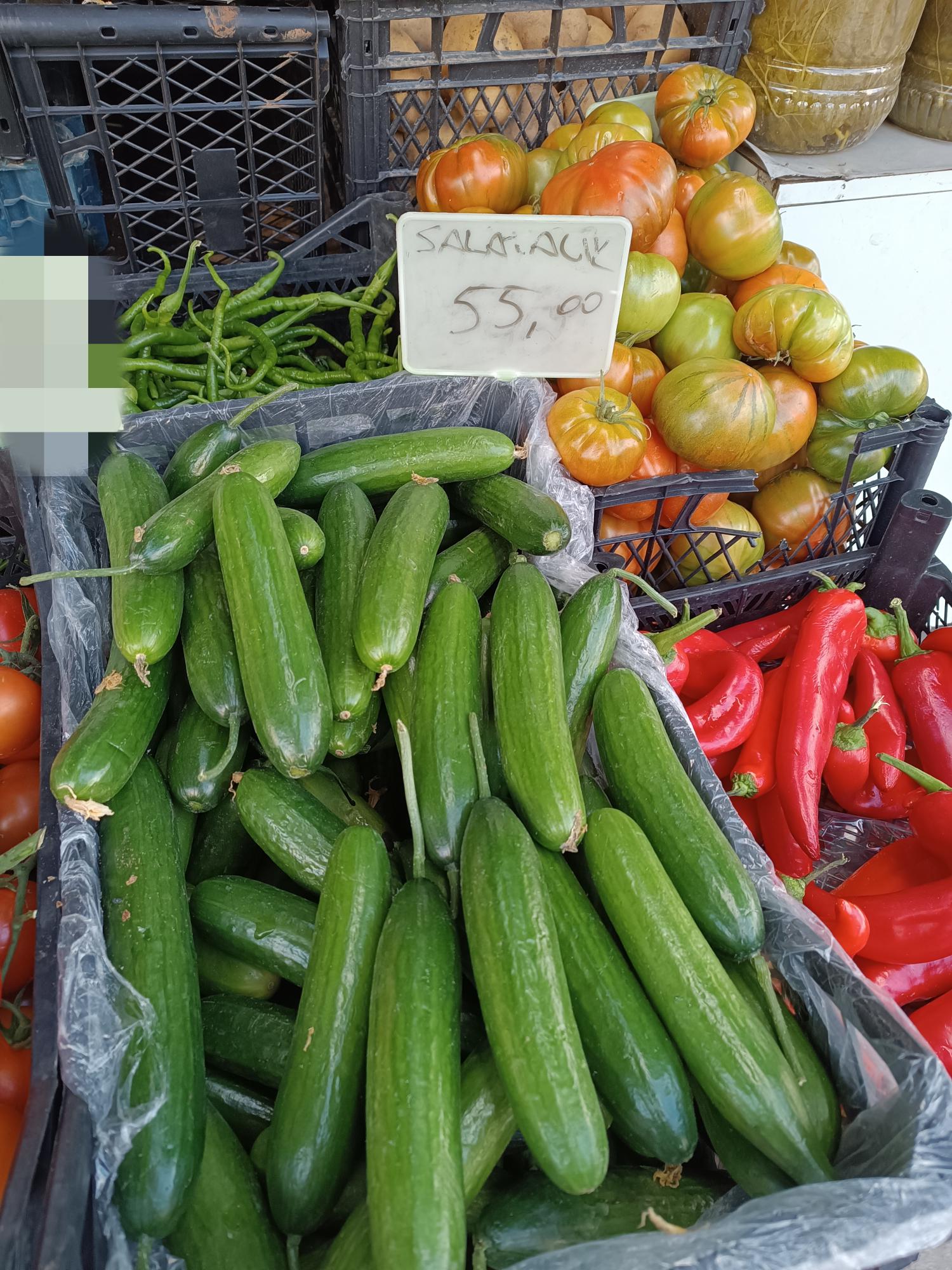 SALATALIK FİYATI YÜKSELİŞTE