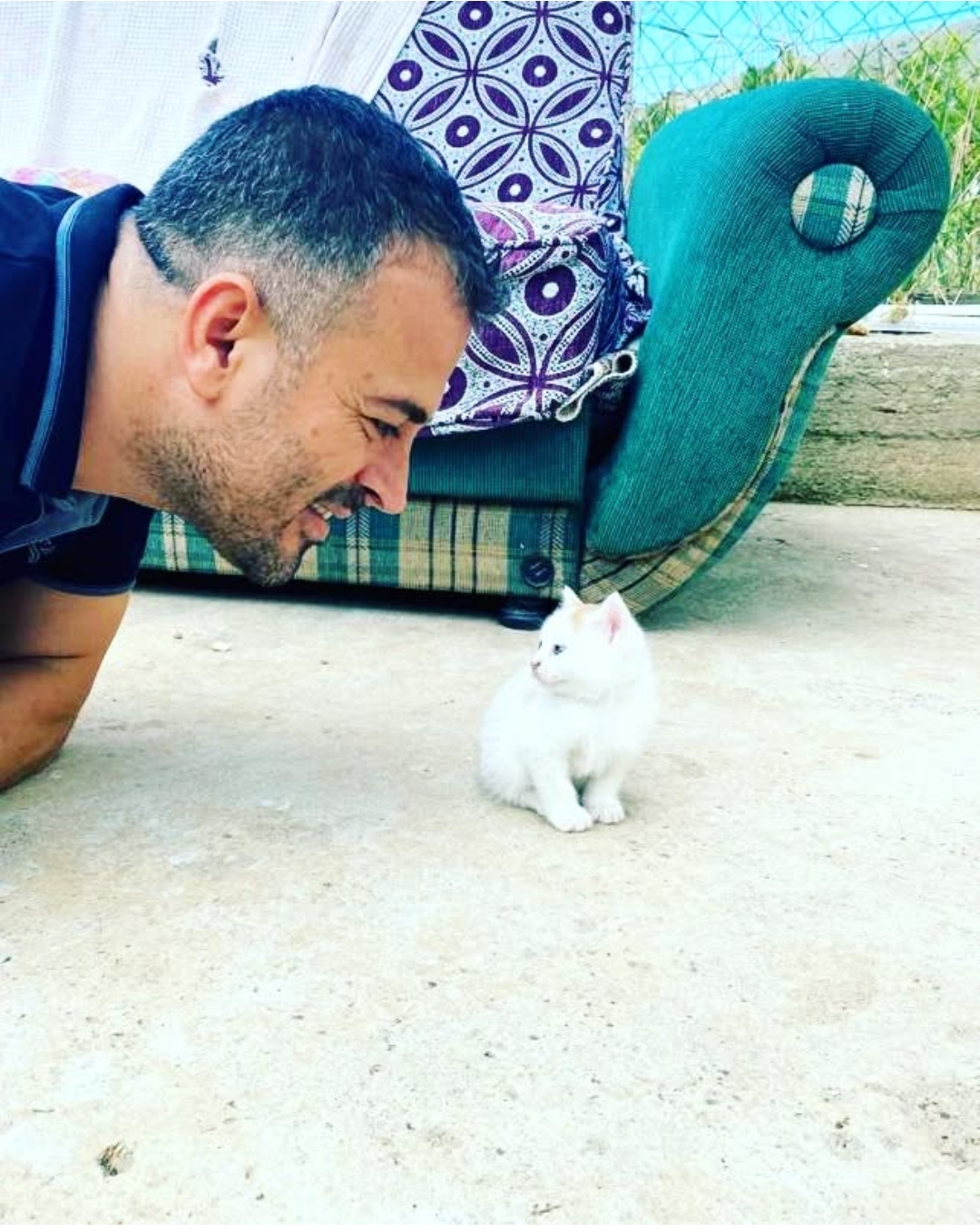 “Saz kedisinin sesi artık duyulmuyor”