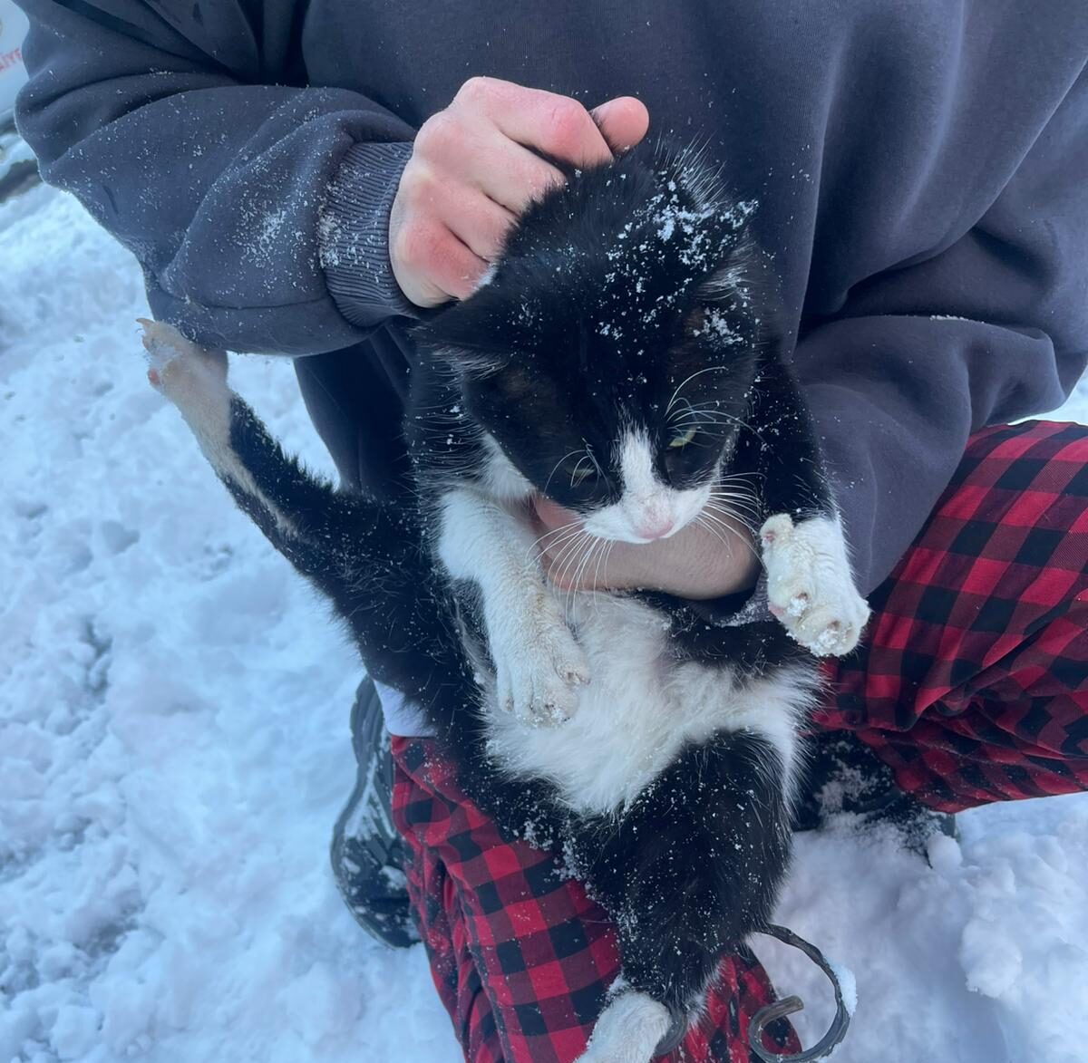 Soğukta umut oldular