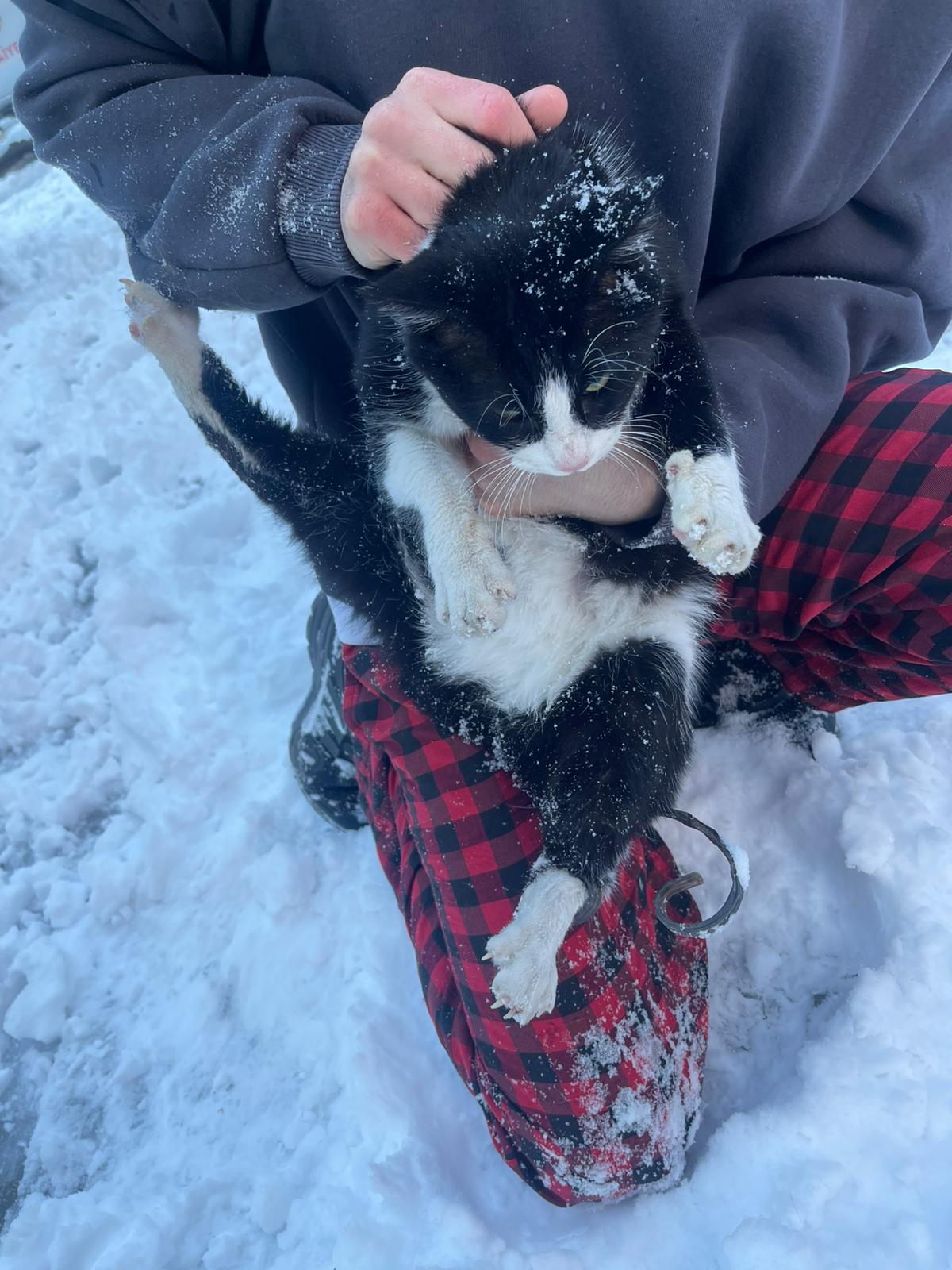 Soğukta umut oldular