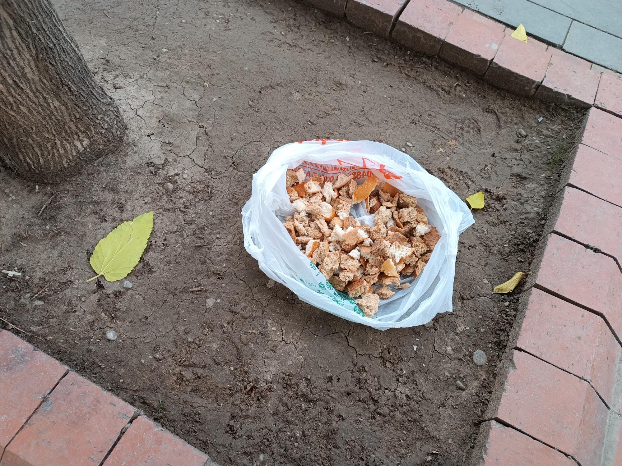 Sokak hayvanları için anlamlı duyarlılık