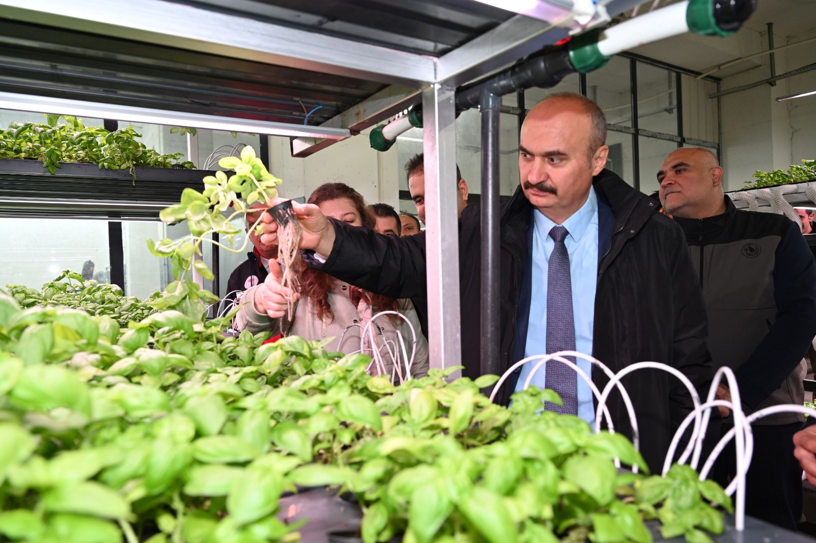 Topraksız tarımda büyük atılım