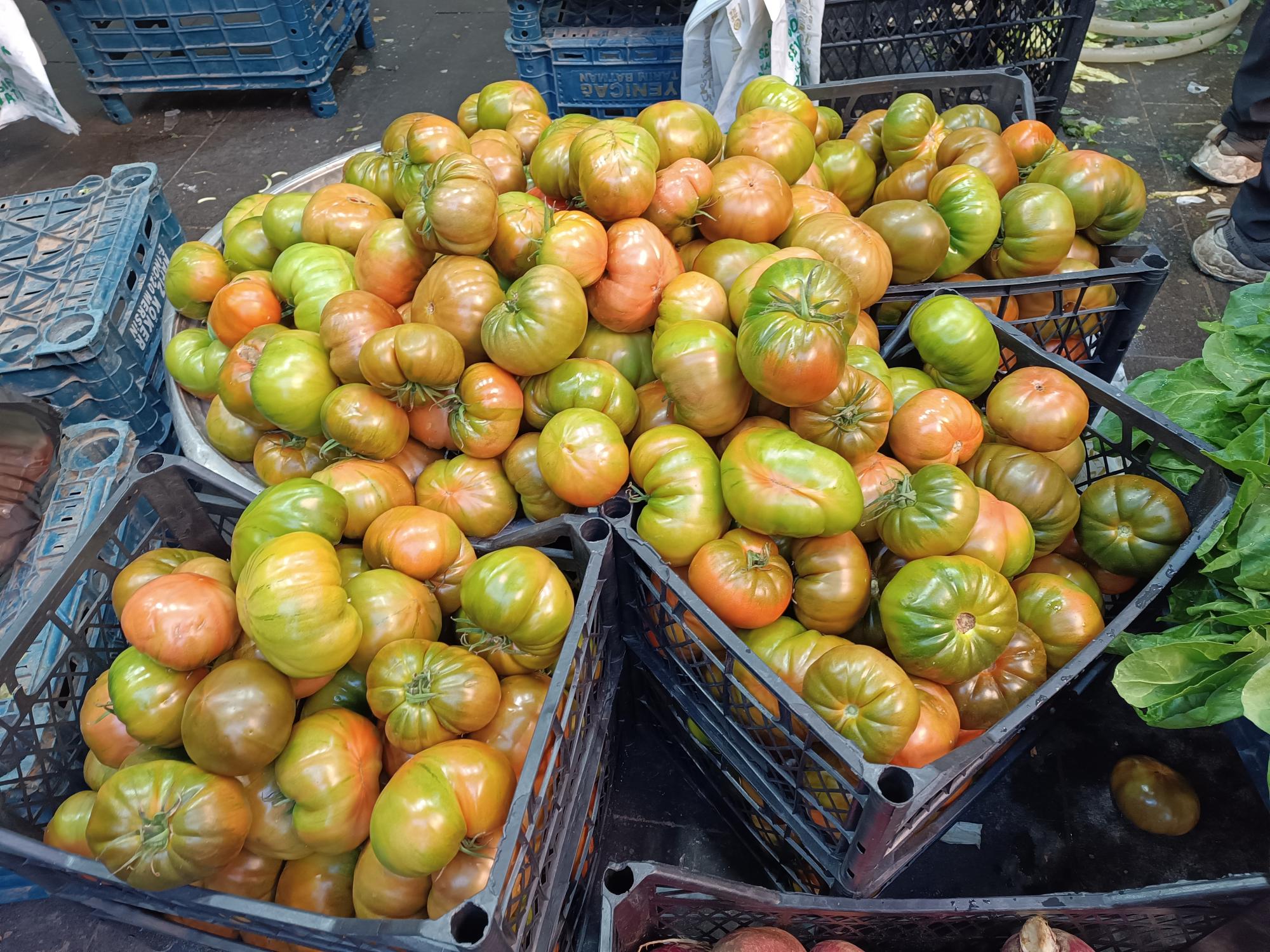 Yerli domates 50 lirayı buldu