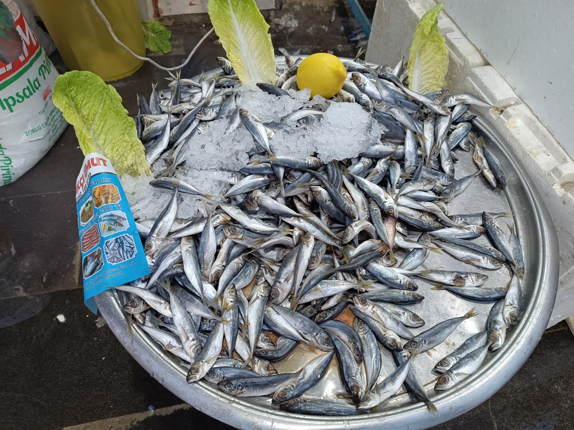 Balık tezgahlarında istavrit yoğunluğu