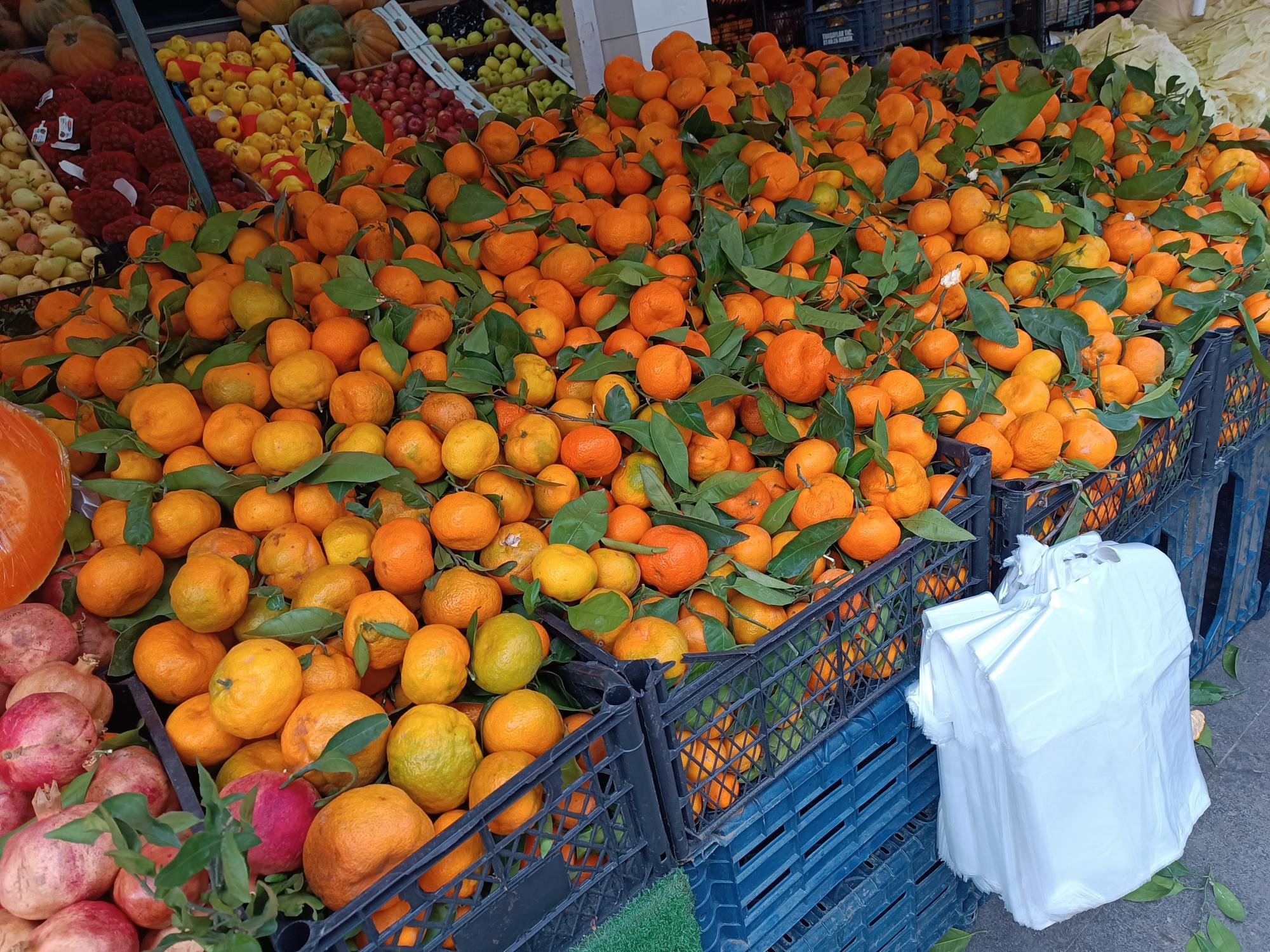 C vitamini ürünleri talep