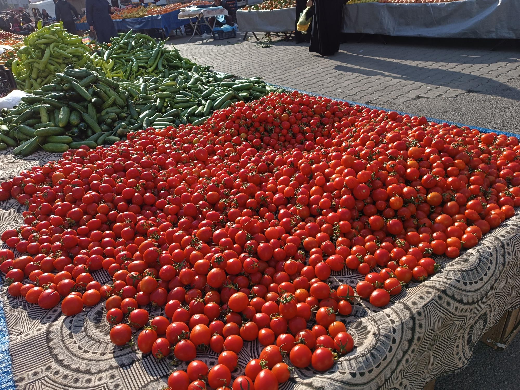 Çeri domates pazarda 40 lira