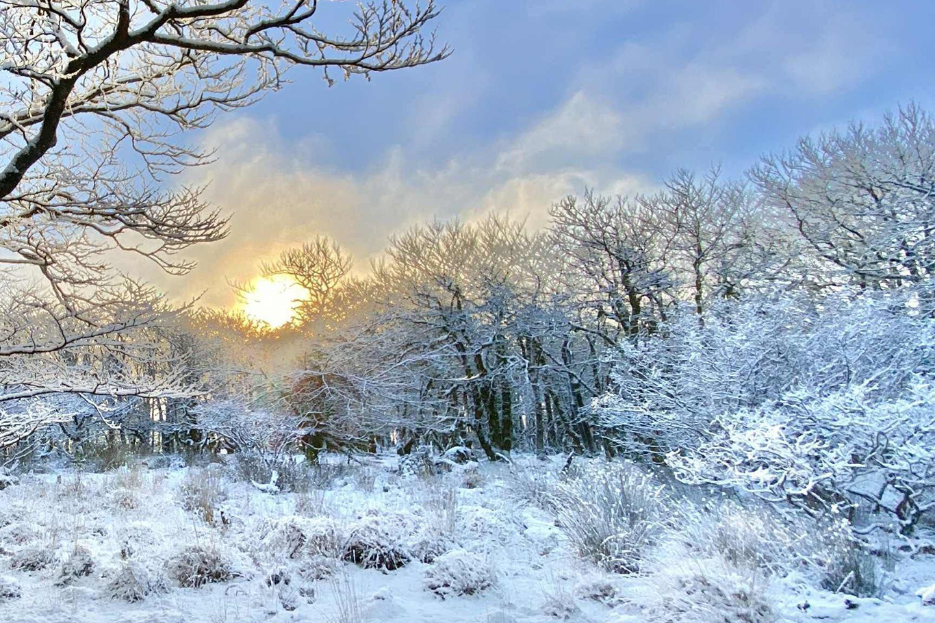 KUTUP SOĞUĞU KAPIDA!