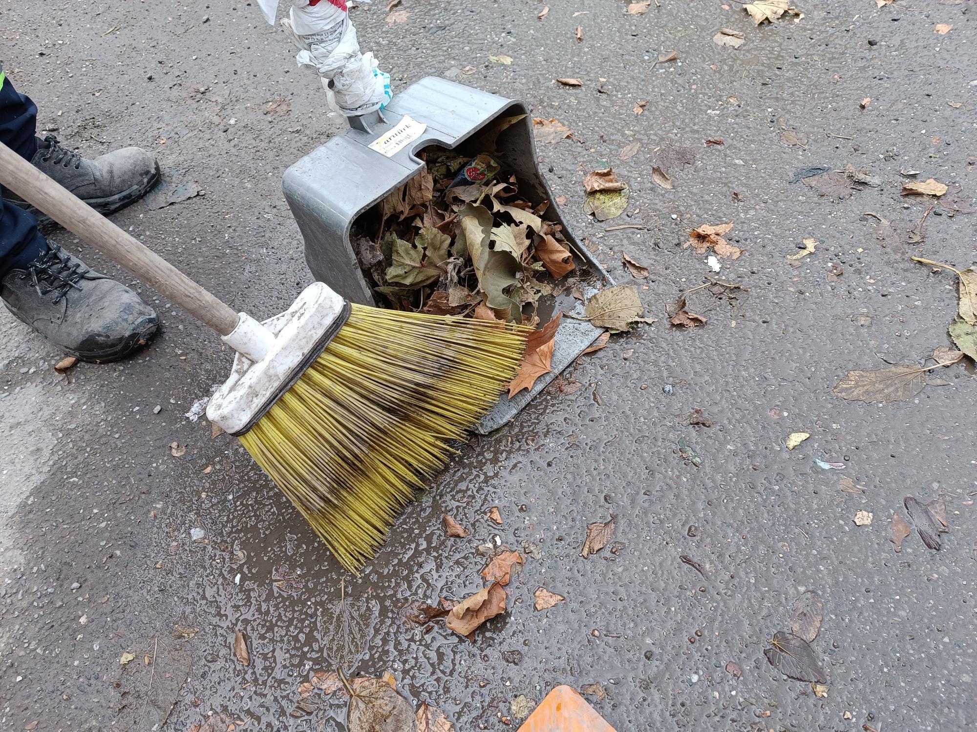 Kar sonrası yaprak mesaisi