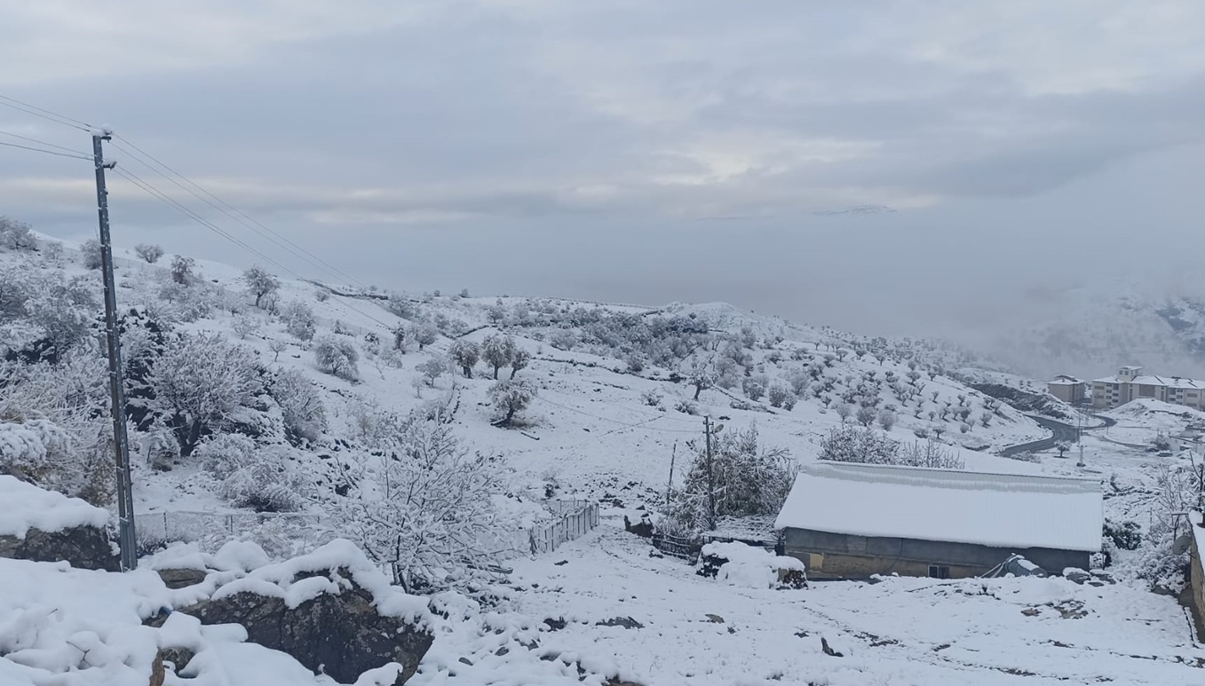 “Kar, tarlayı kurtardı”