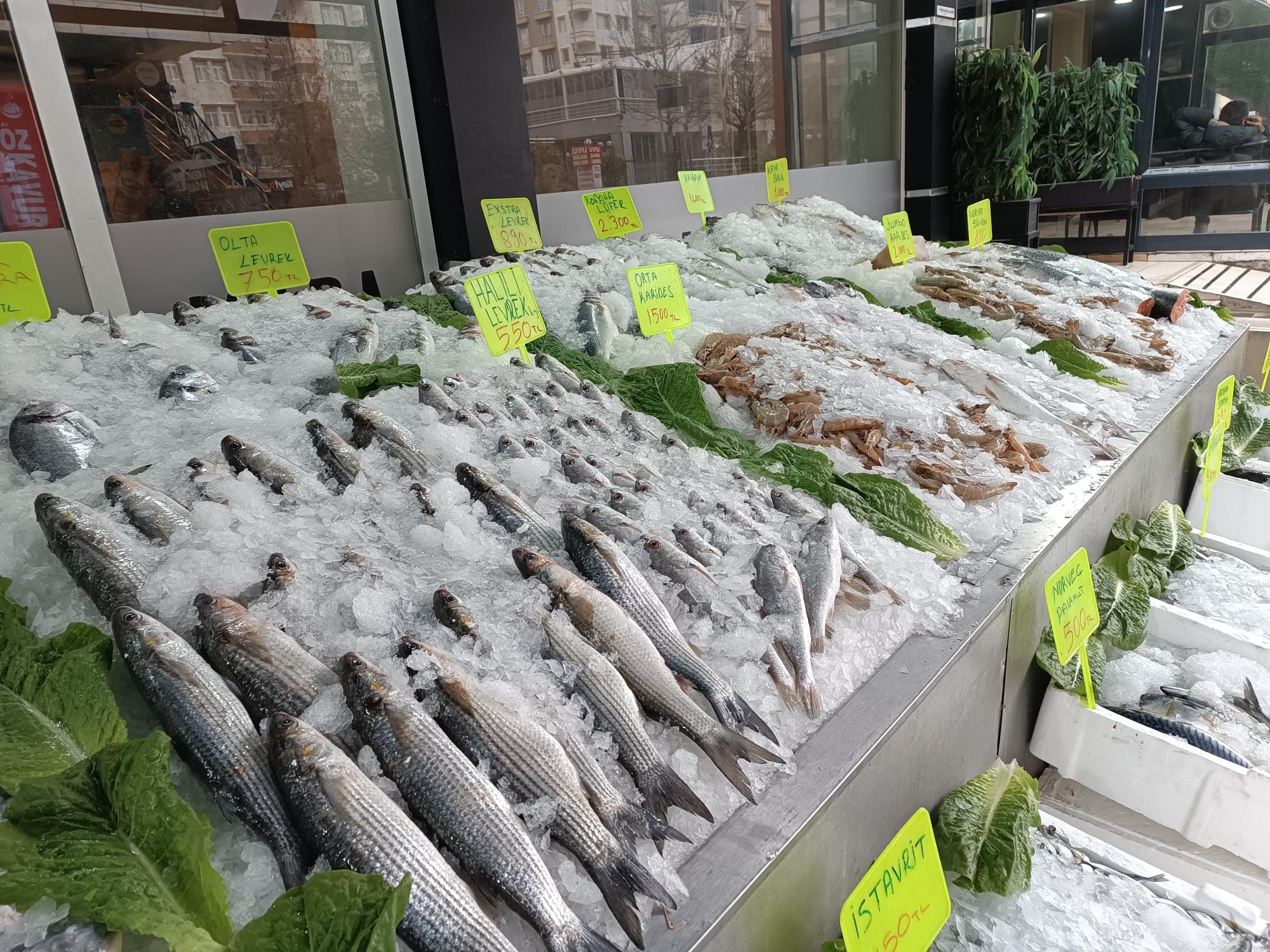 “Karadeniz balıkları ilgi görüyor”