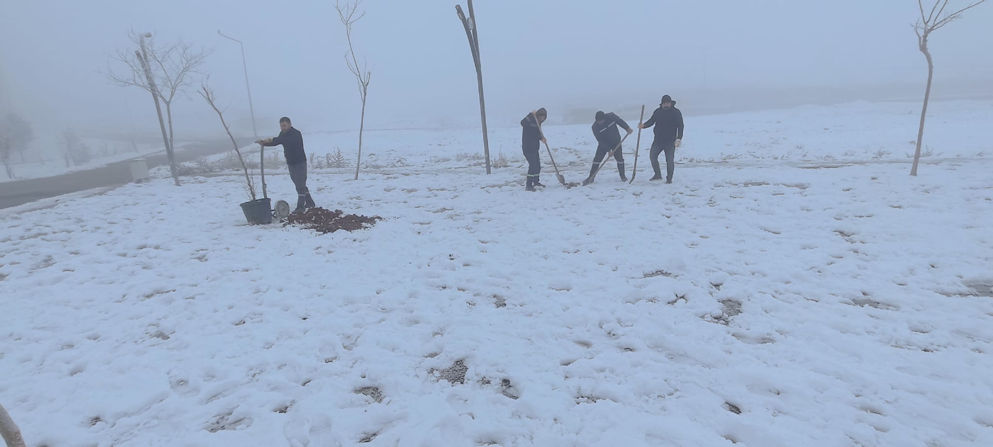 Kardelen’de ‘yeşil değişim’ başladı
