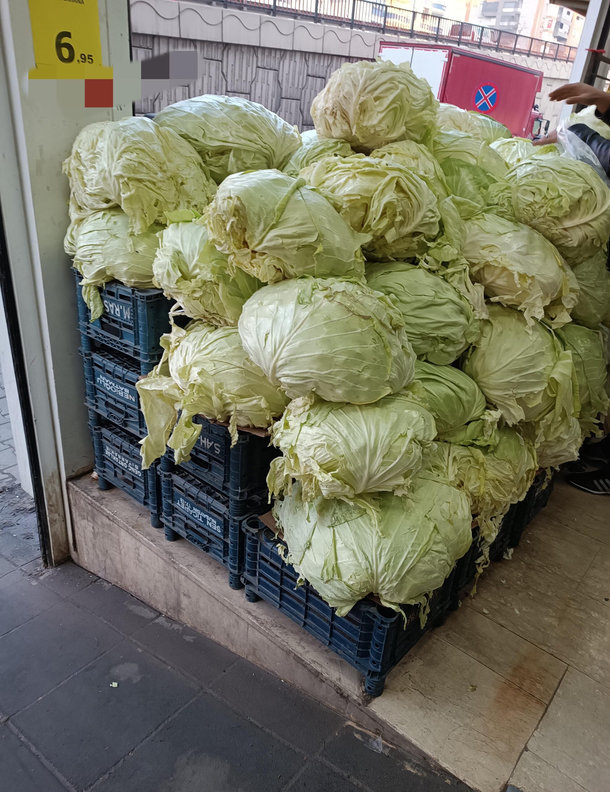 Kış sebzelerinde yüz güldüren fiyat