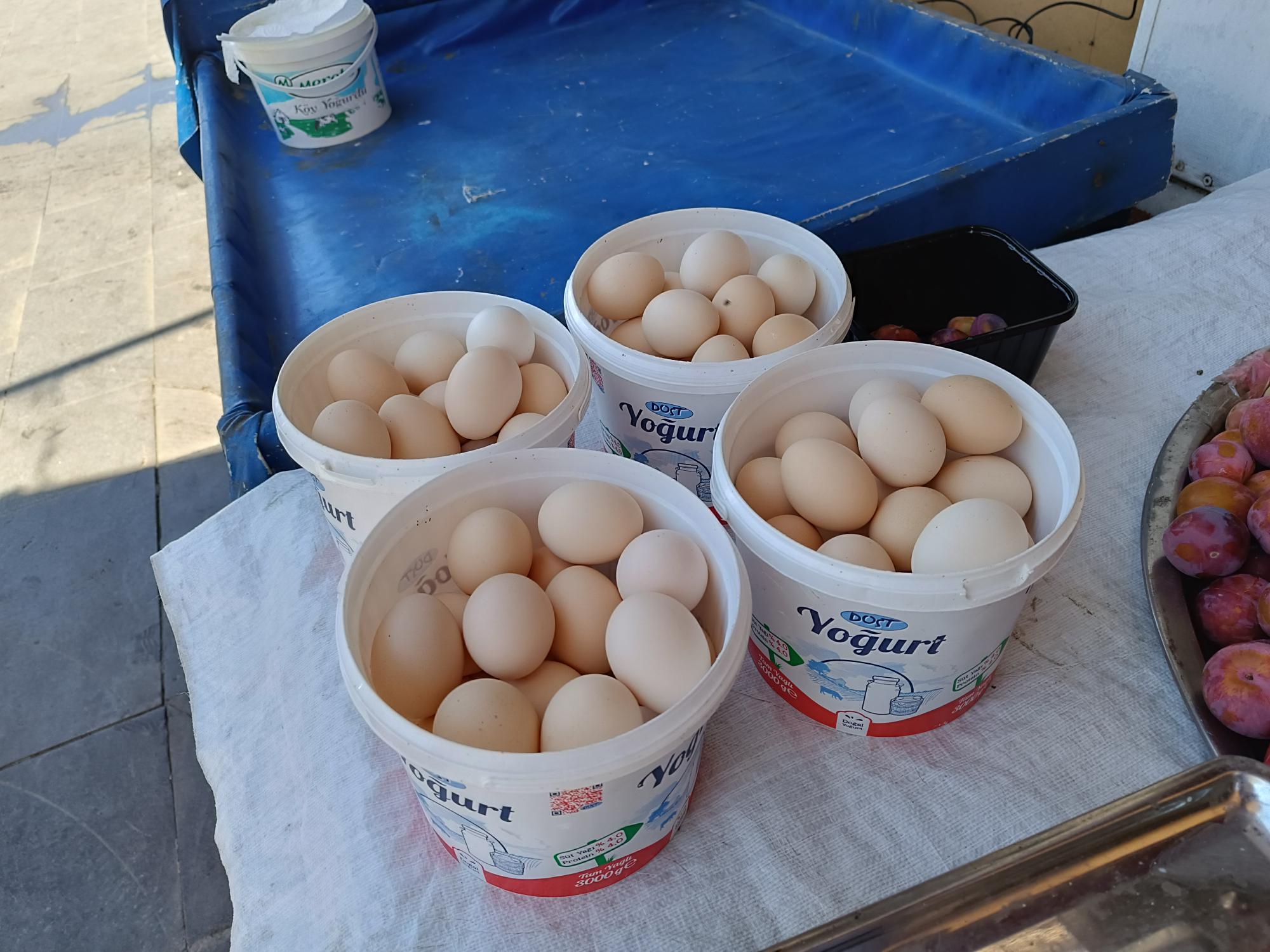 Köy yumurtası 10 liradan satışta