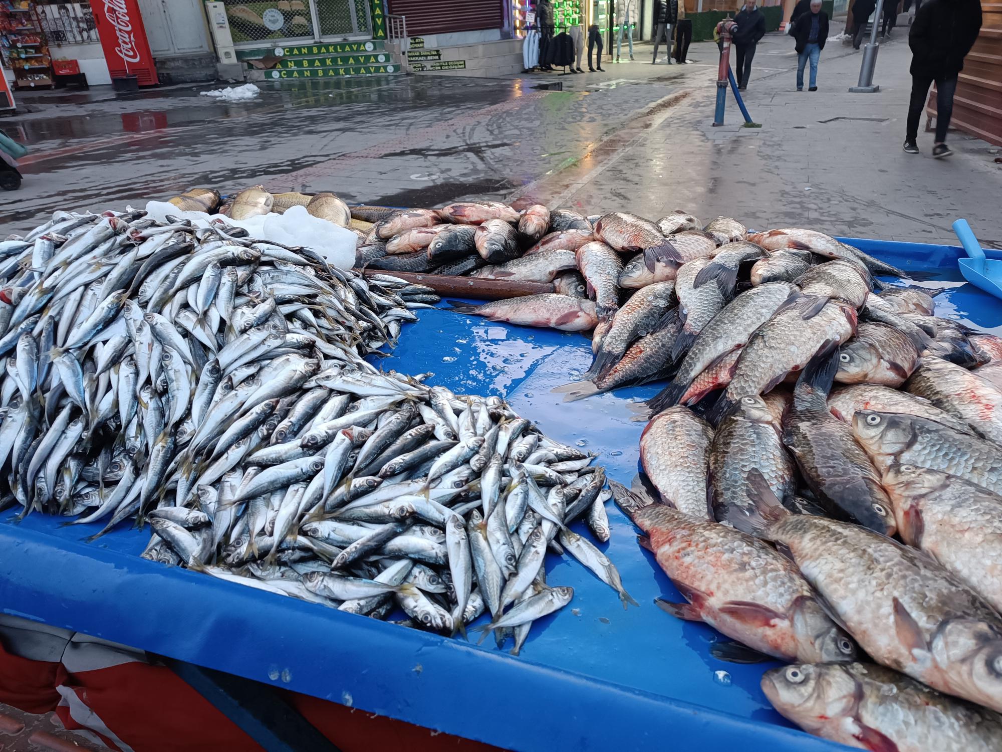 Tezgahlarda balık bereketi