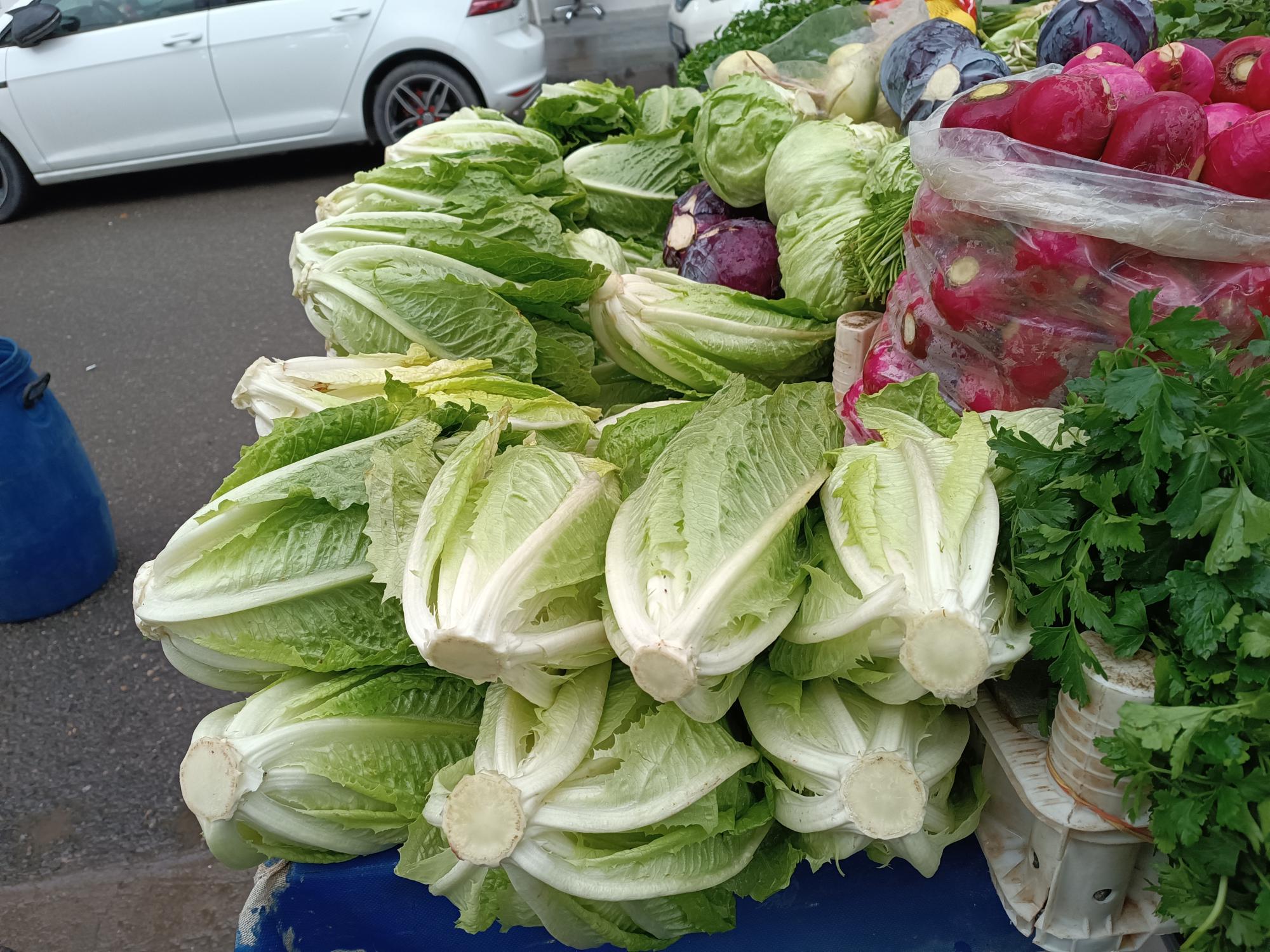 Marul fiyatları dikkat çekiyor