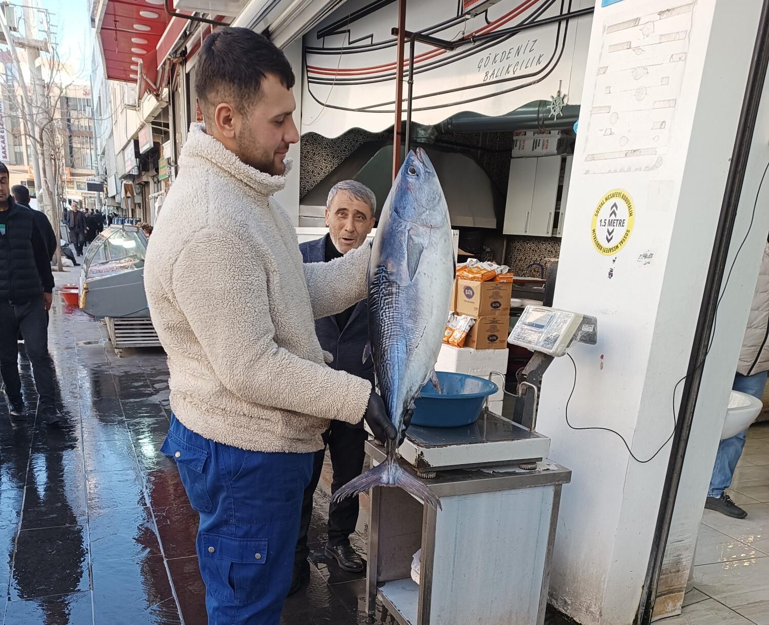 Akdeniz Orkinosları ilgi odağı