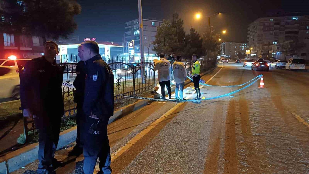 Karşıya geçmek isterken canından oldu
