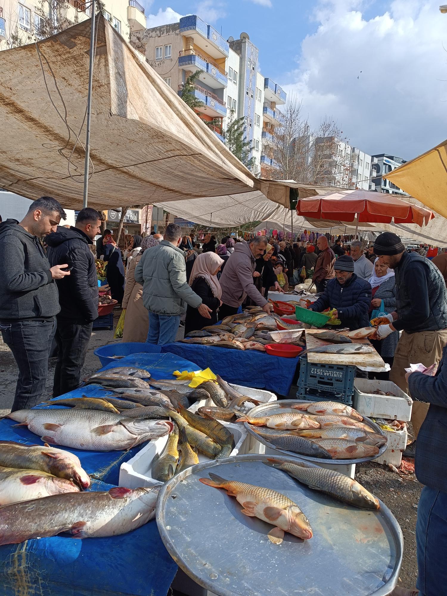Sazan ve turna pazarın gözdesi