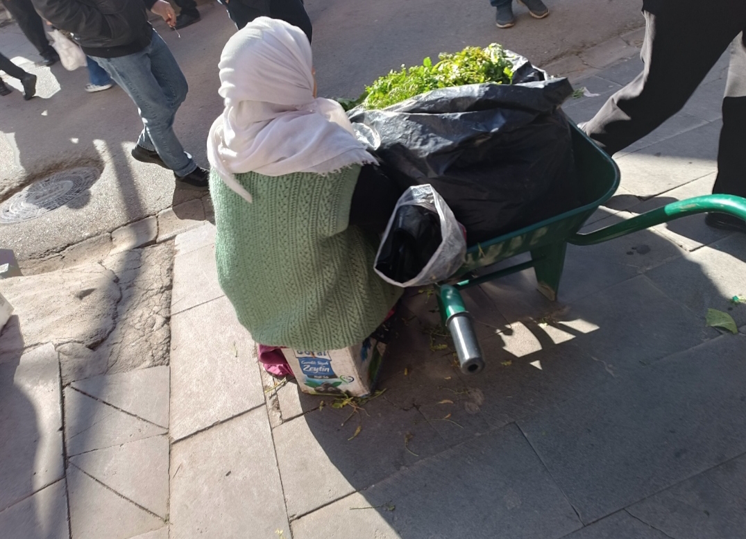 Tekerlekli araba ile ekmek mücadelesi
