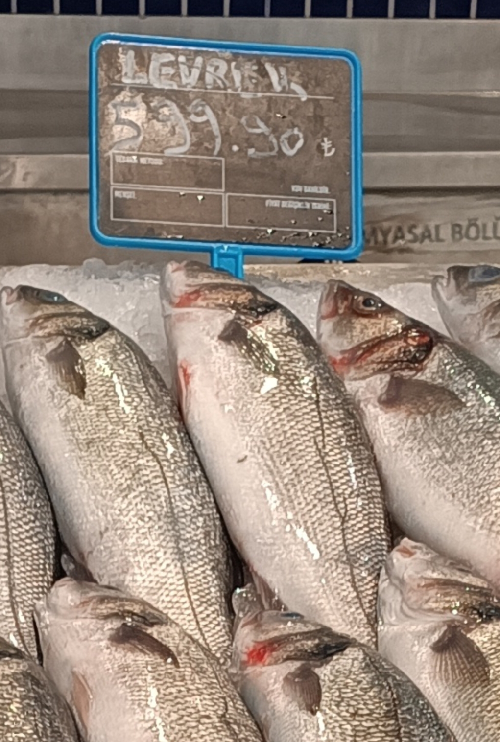 BALIK FİYATLARI DA CEP YAKIYOR