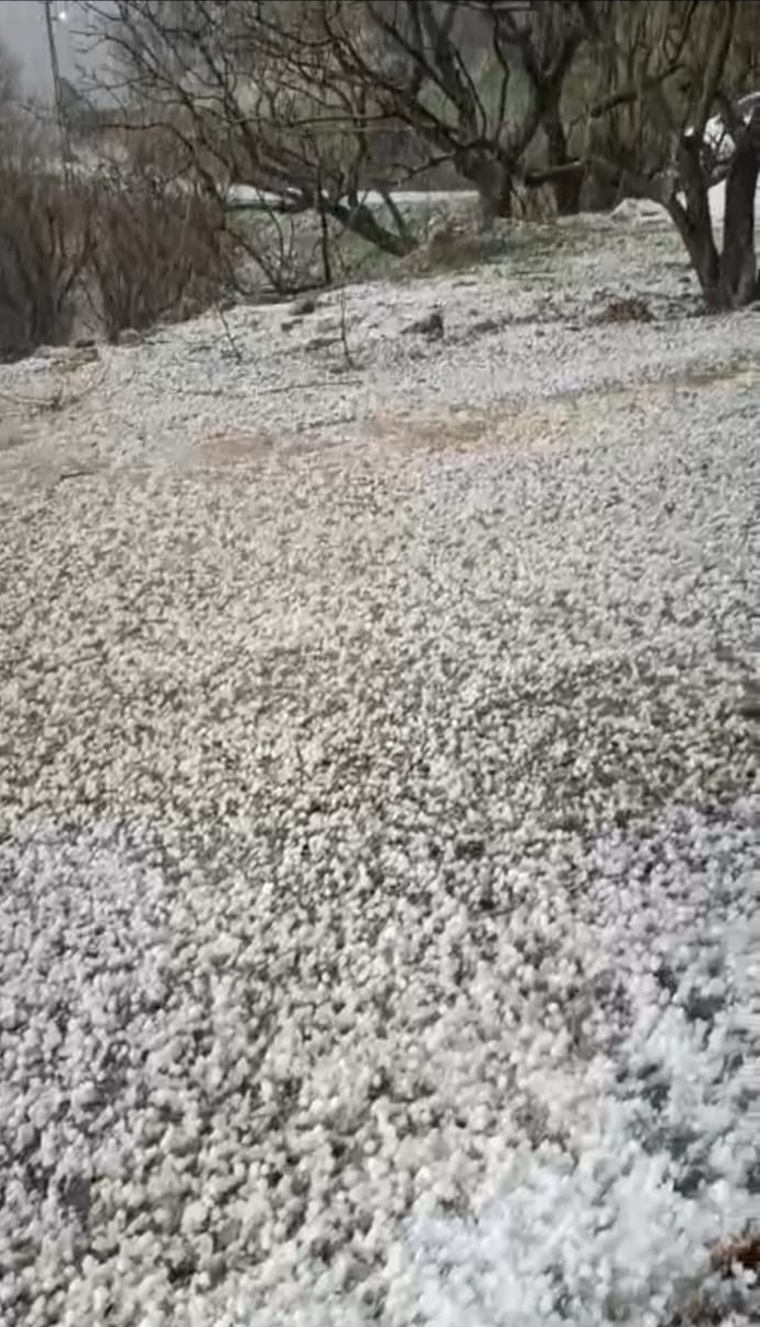 DOLU ÇİLEK ÜRETİCİSİNİ VURDU