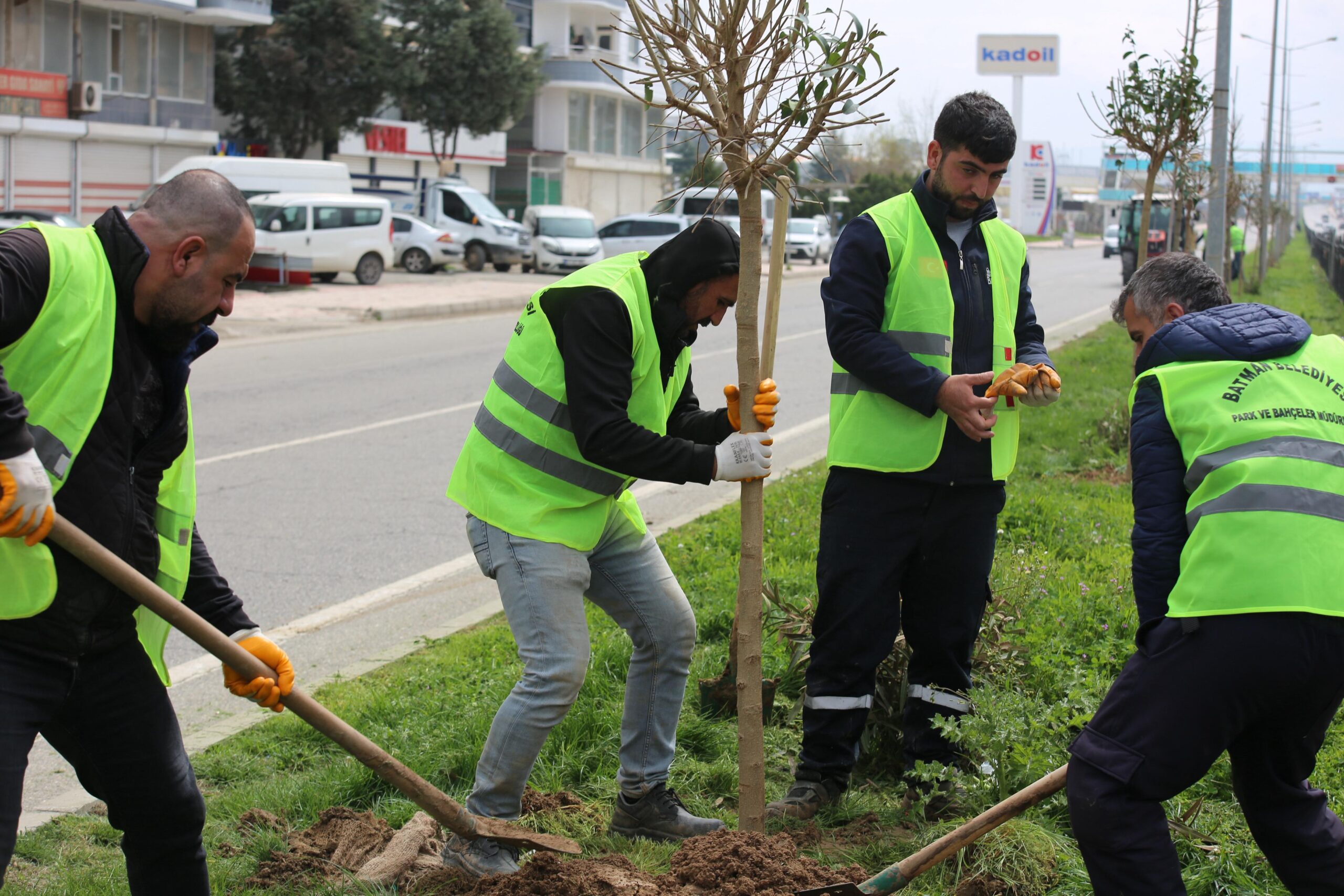 Kentte ağaçlandırma seferberliği