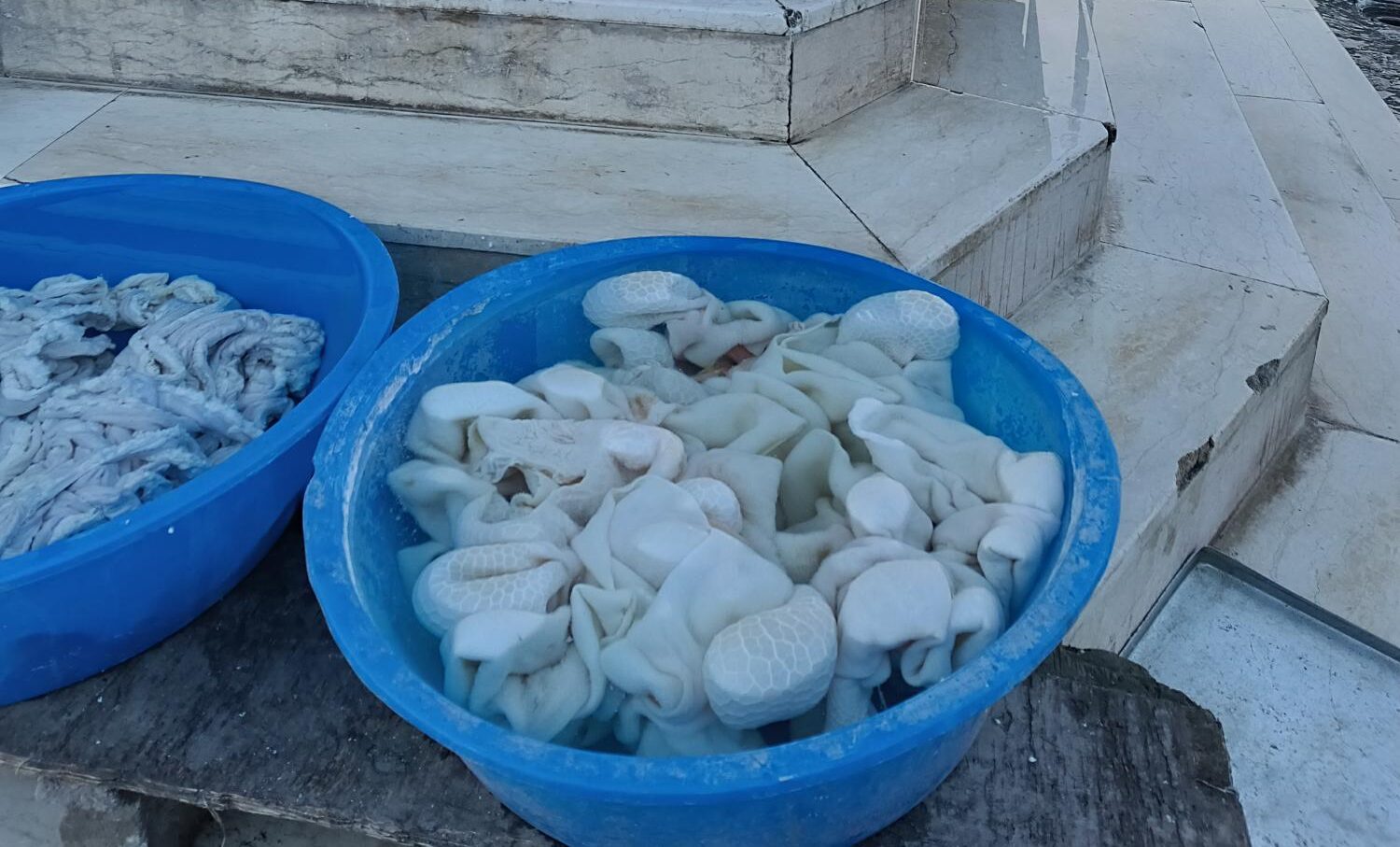 Sakatat ürünlerine ilgi